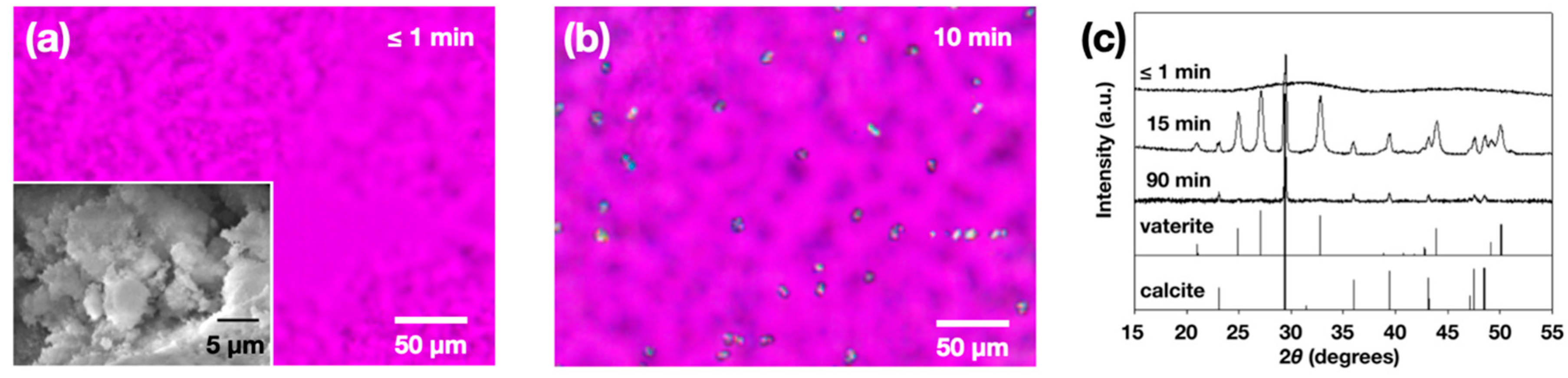 Materials 13 03762 g001