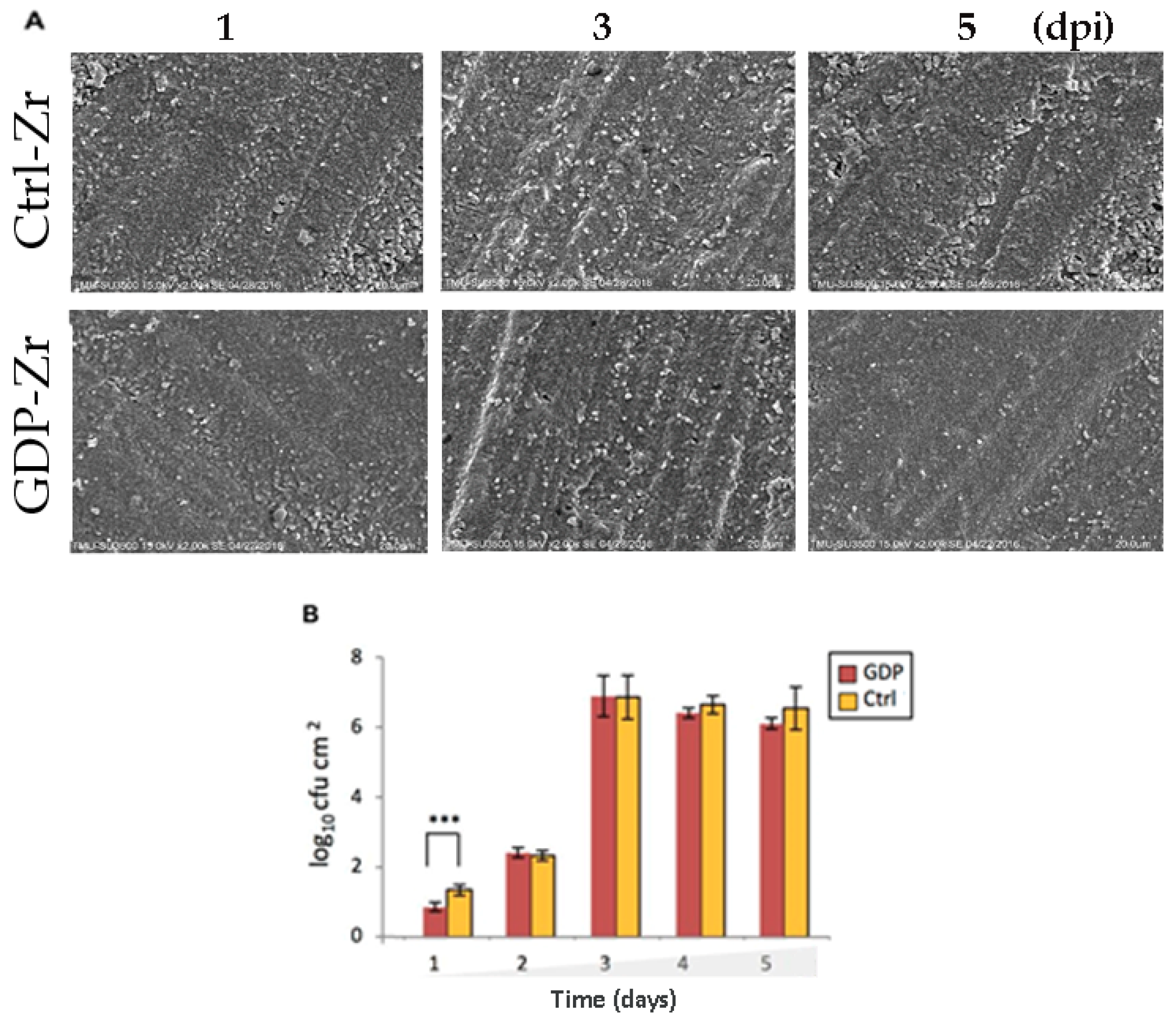 Materials 13 03771 g007 Materials 13 03771 g007