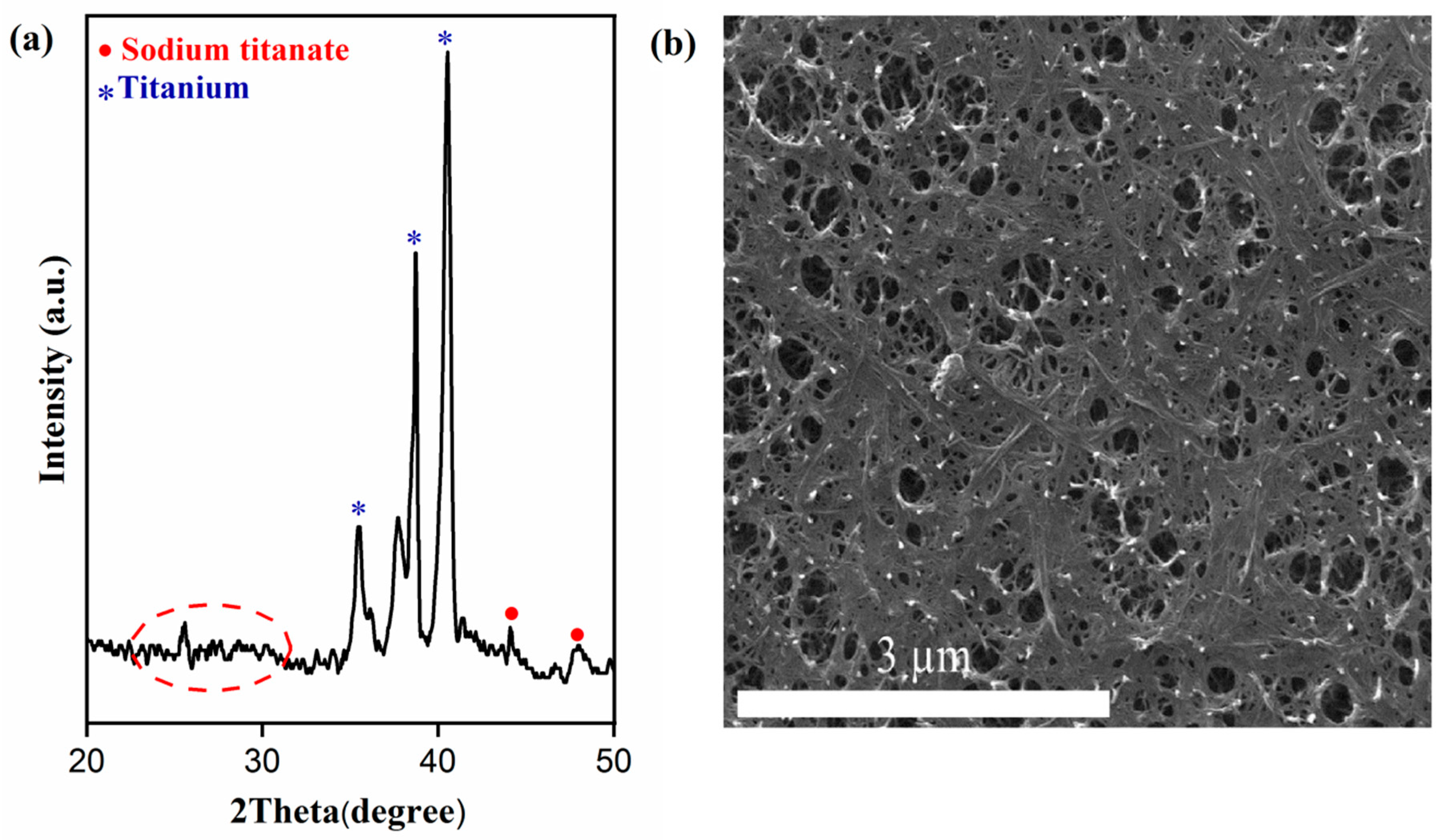 Materials 13 03772 g001 Materials 13 03772 g001