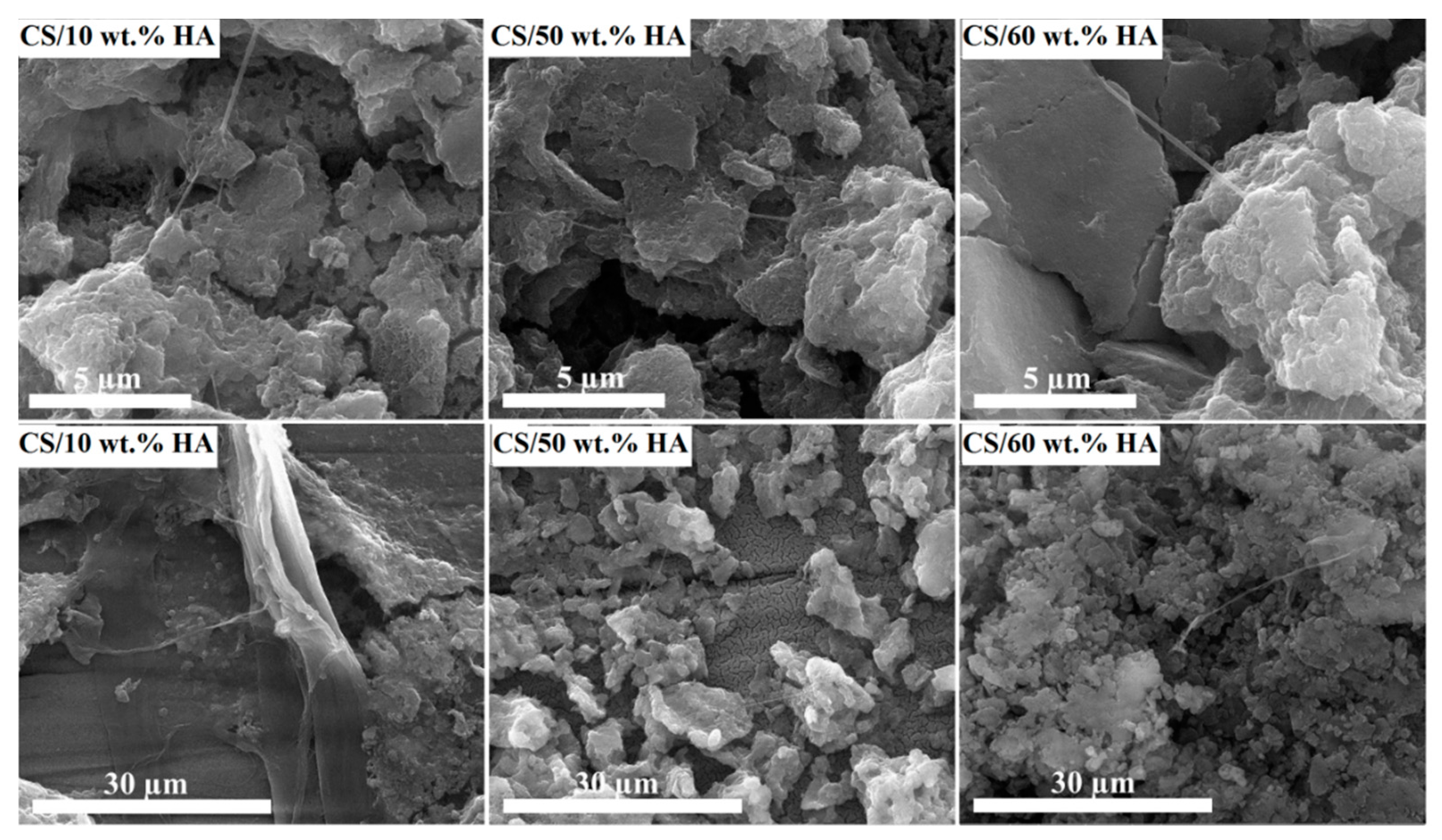 Materials 13 03772 g007 Materials 13 03772 g007