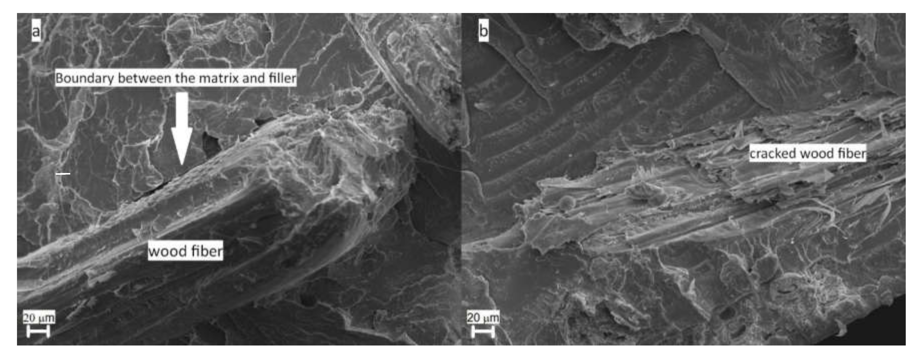 Materials 13 03776 g006