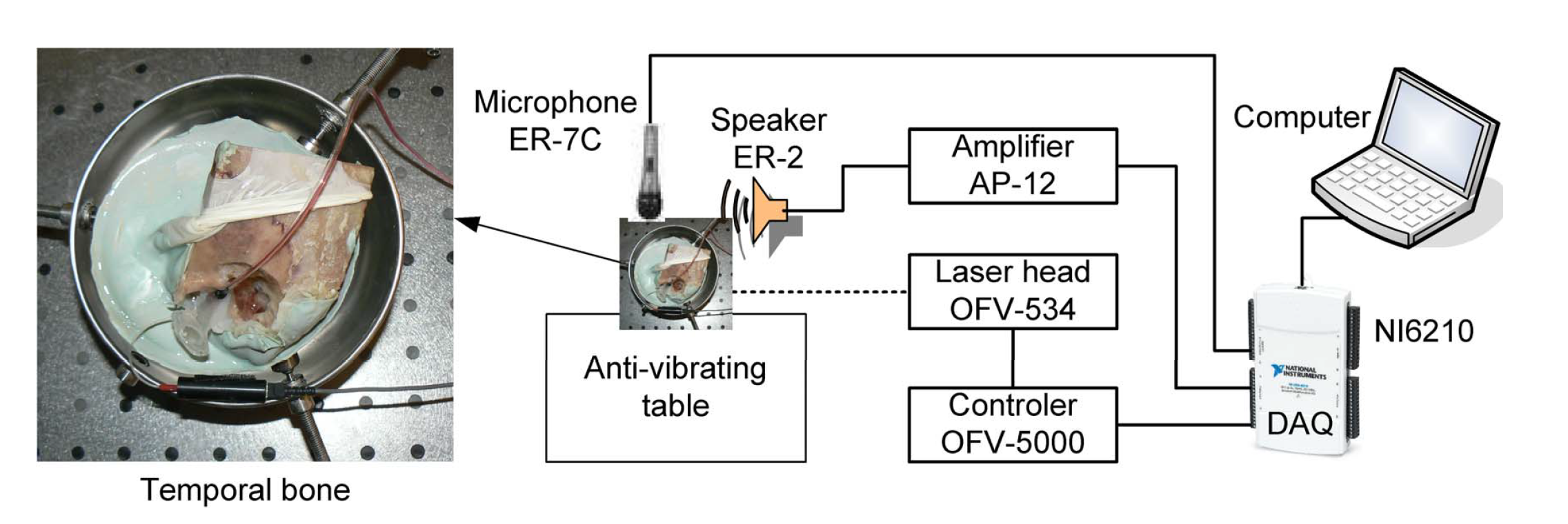 Materials 13 03779 g001