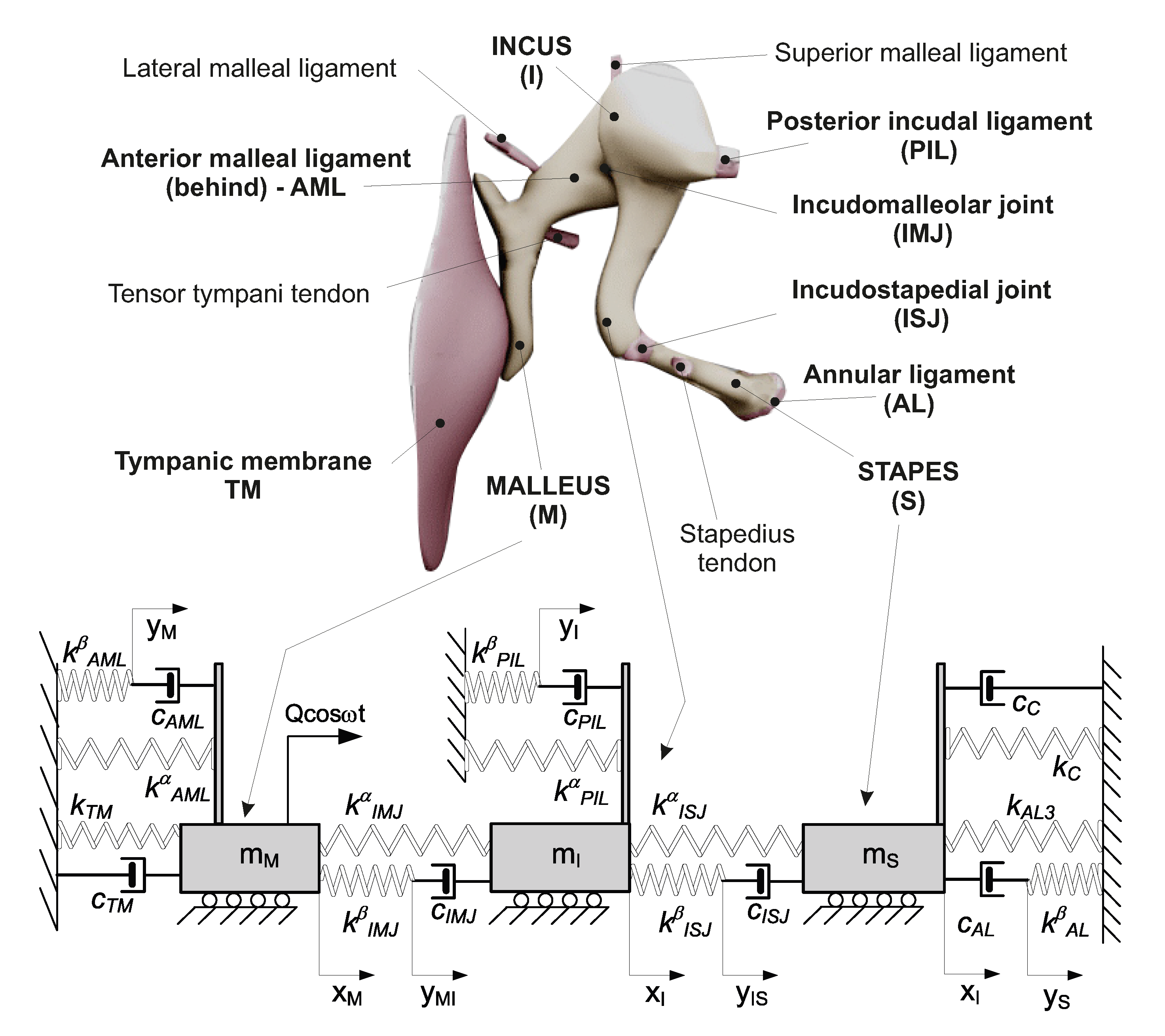 Materials 13 03779 g002