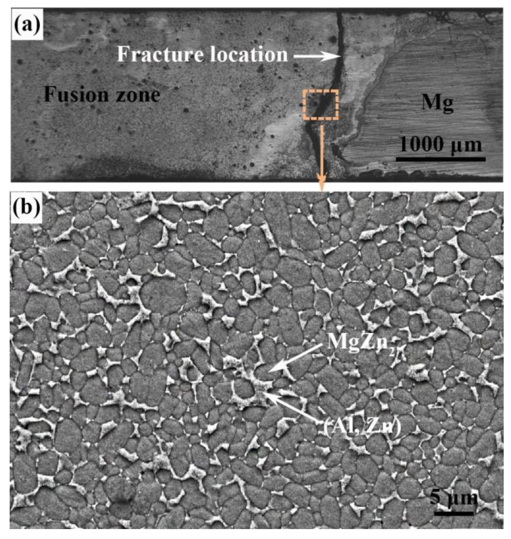 Materials 13 03789 g004 Materials 13 03789 g004