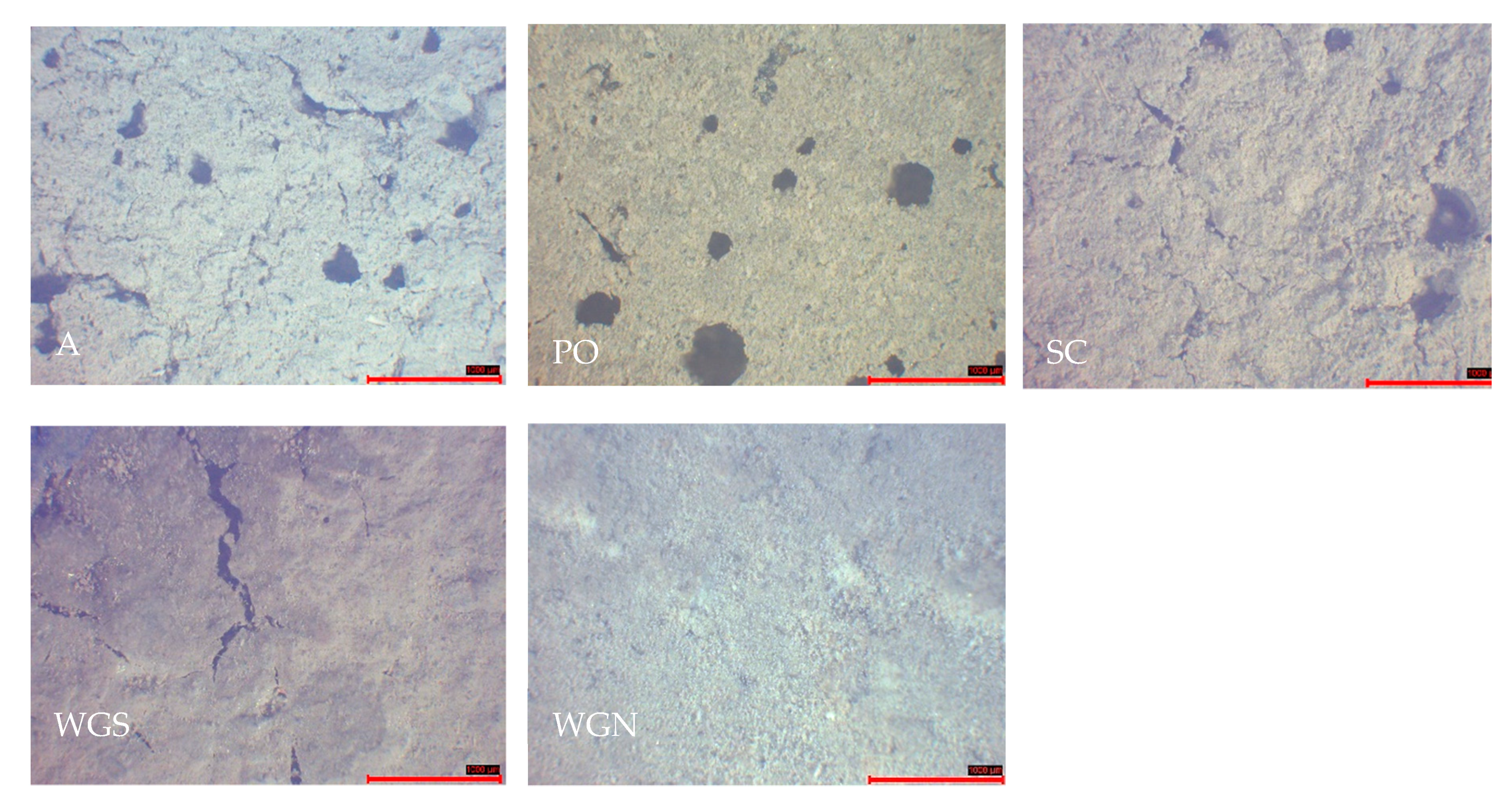 Materials 13 03790 g006