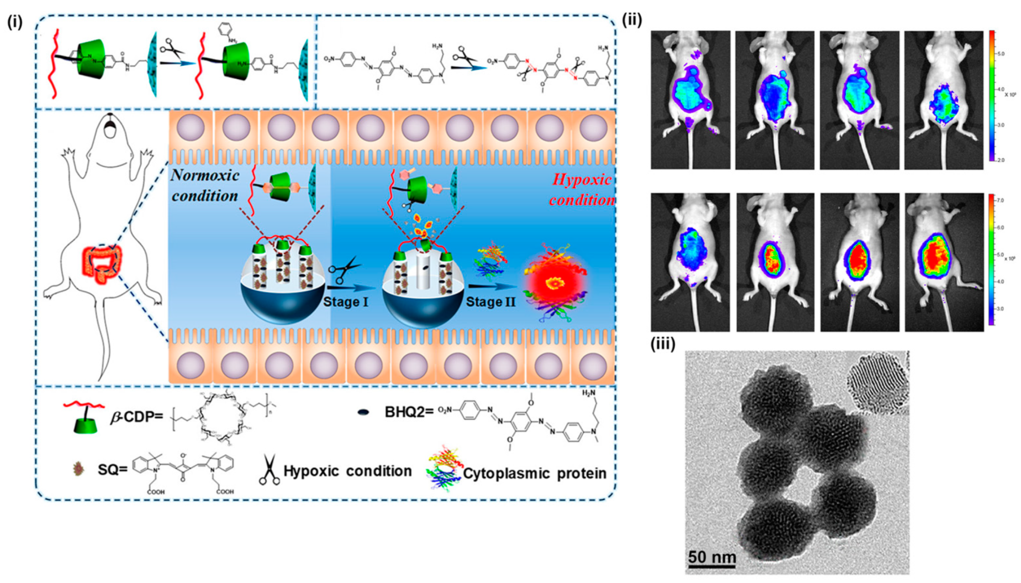 Materials 13 03795 g009