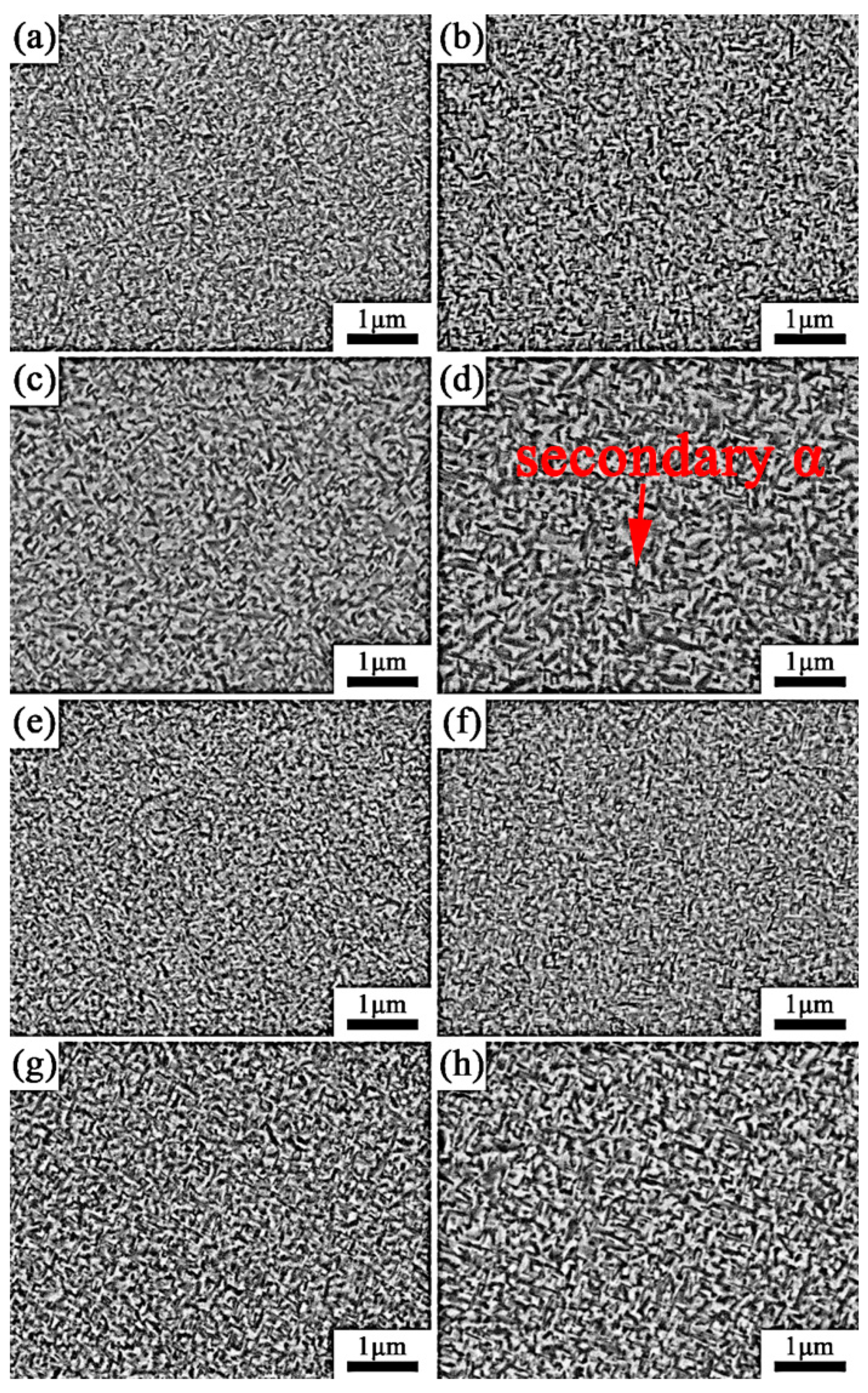 Materials 13 03798 g007