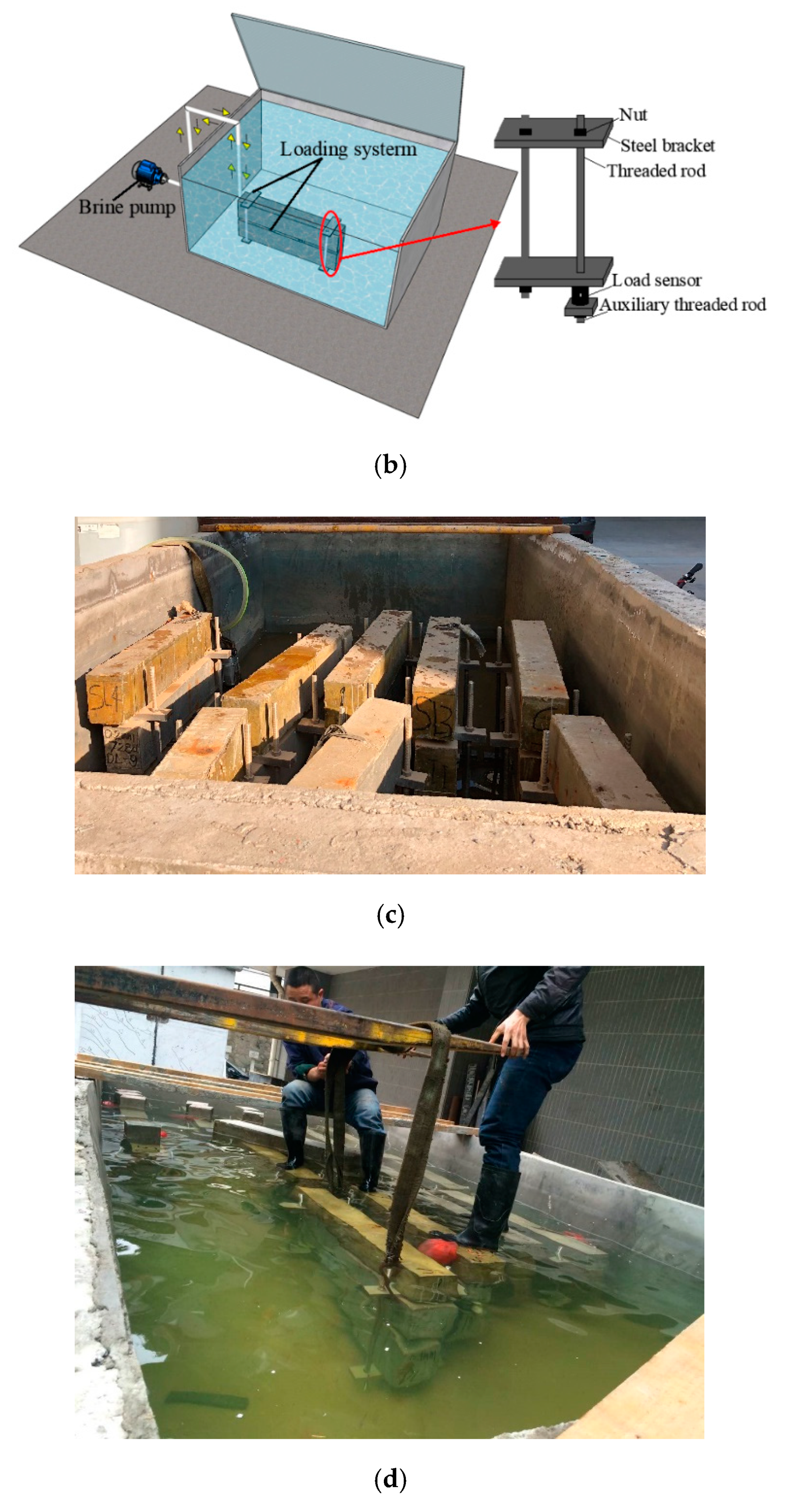 Materials 13 03801 g003b