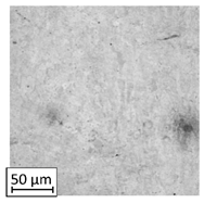 Materials 13 03805 i007