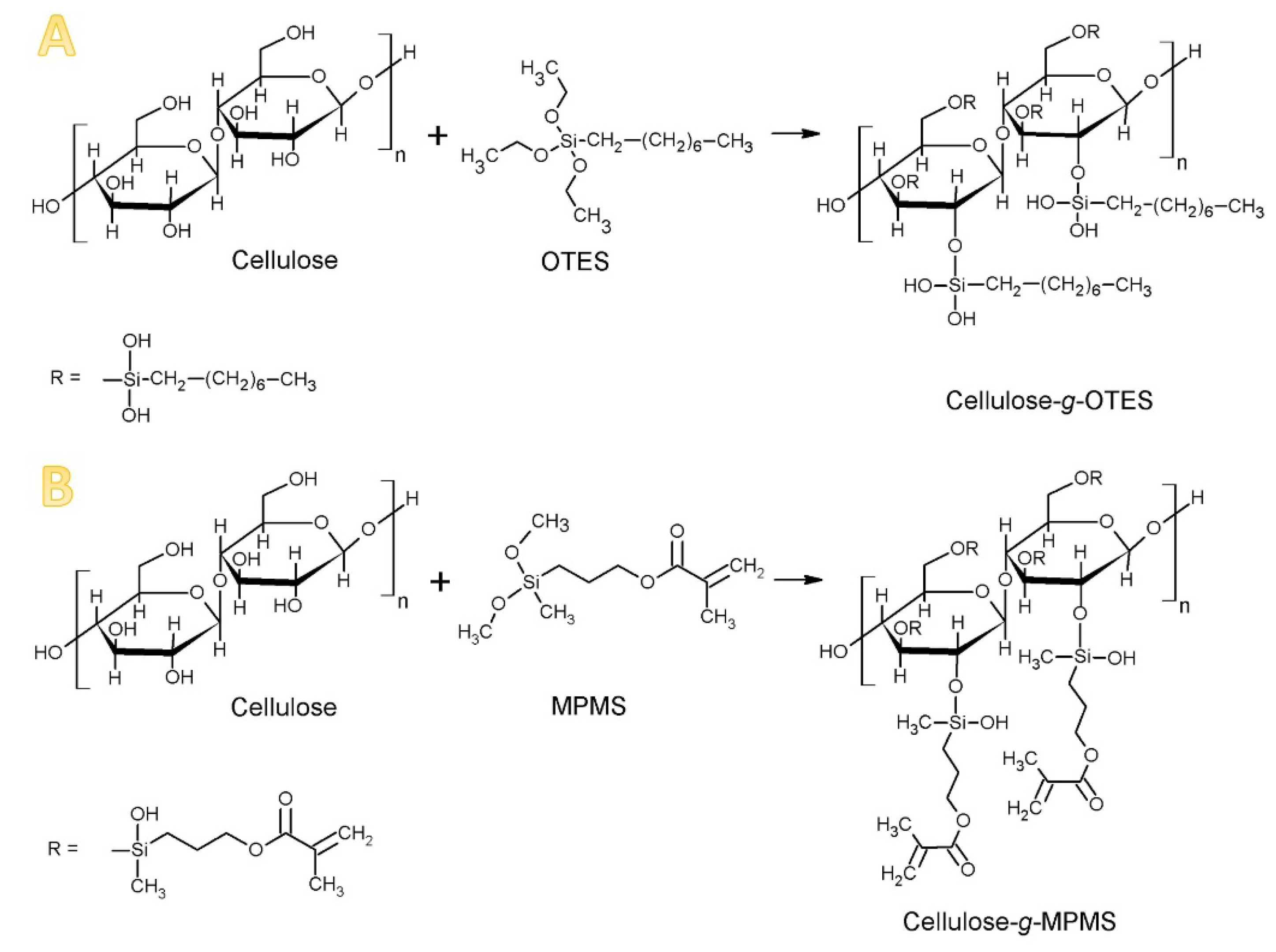 Materials 13 03807 g001 Materials 13 03807 g001