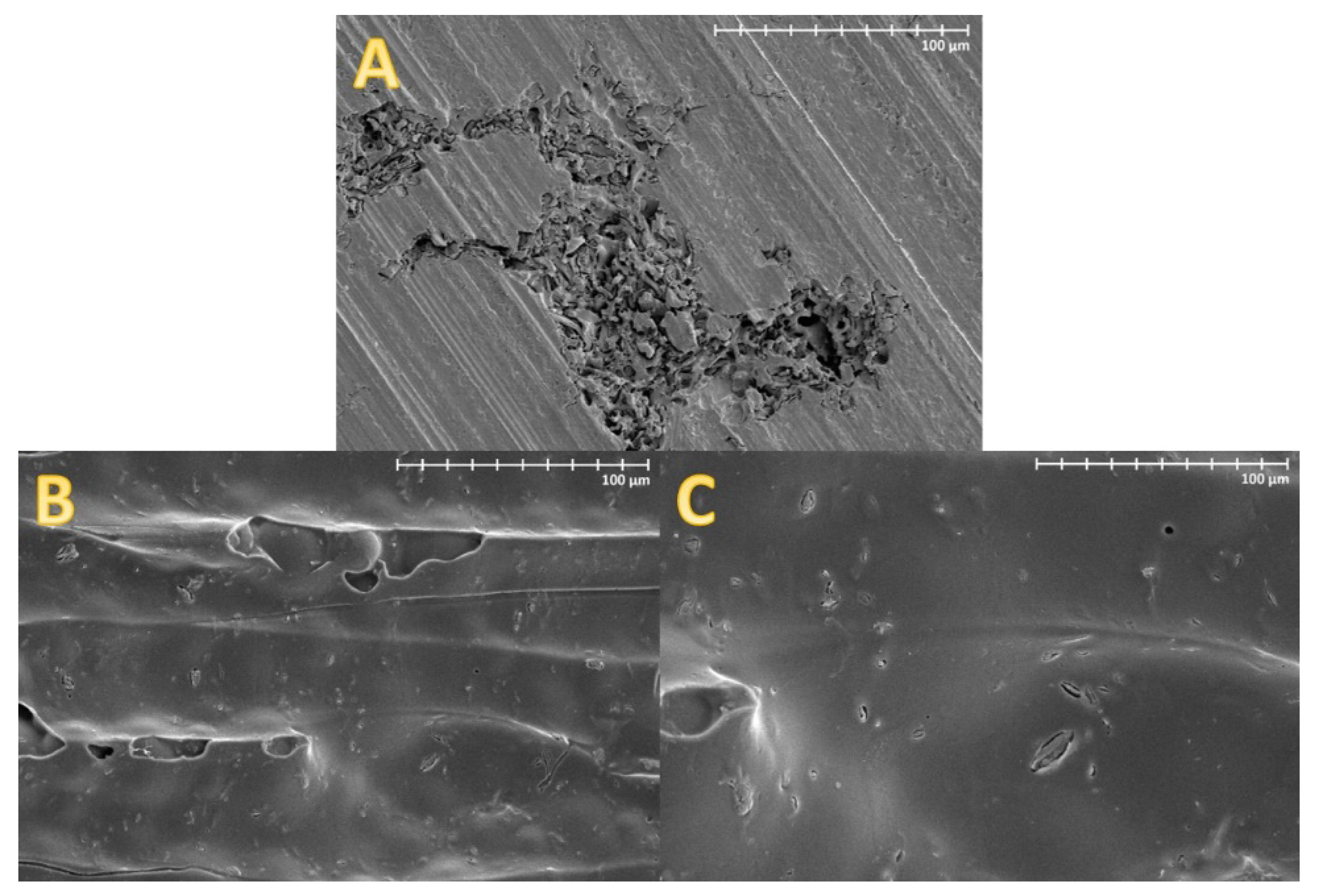 Materials 13 03807 g006 Materials 13 03807 g006