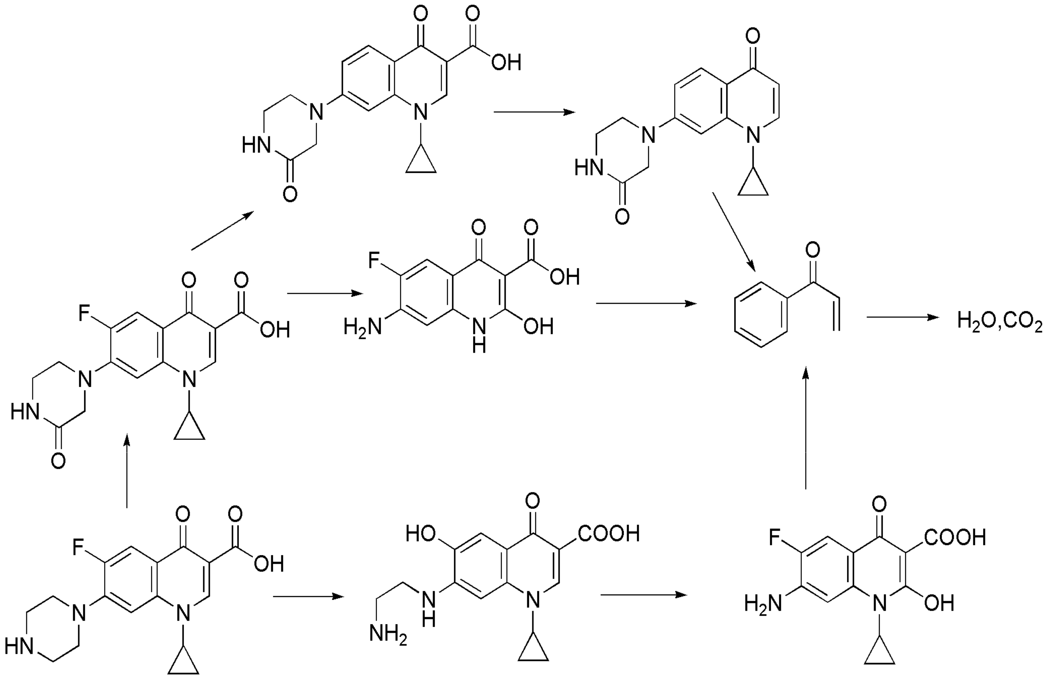 Materials 13 03811 g007