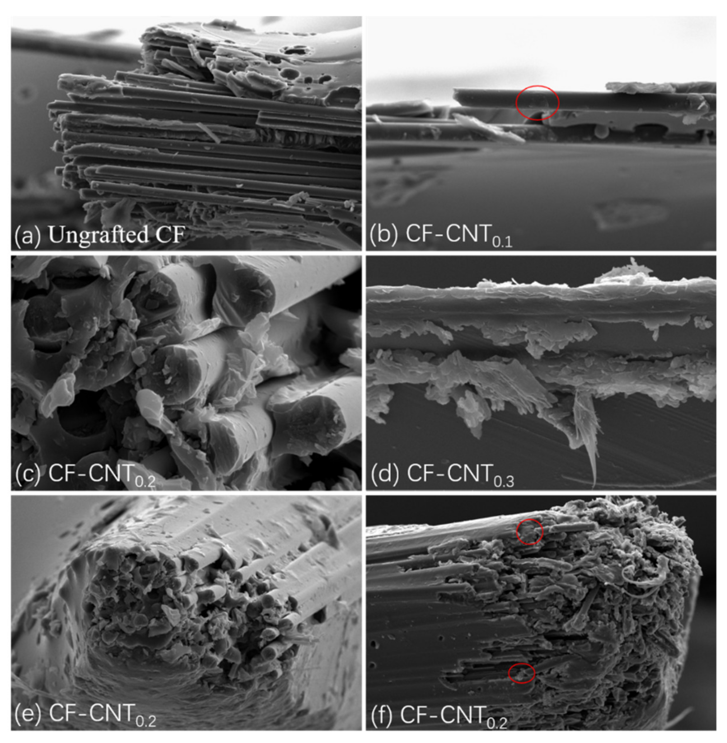 Materials 13 03813 g007