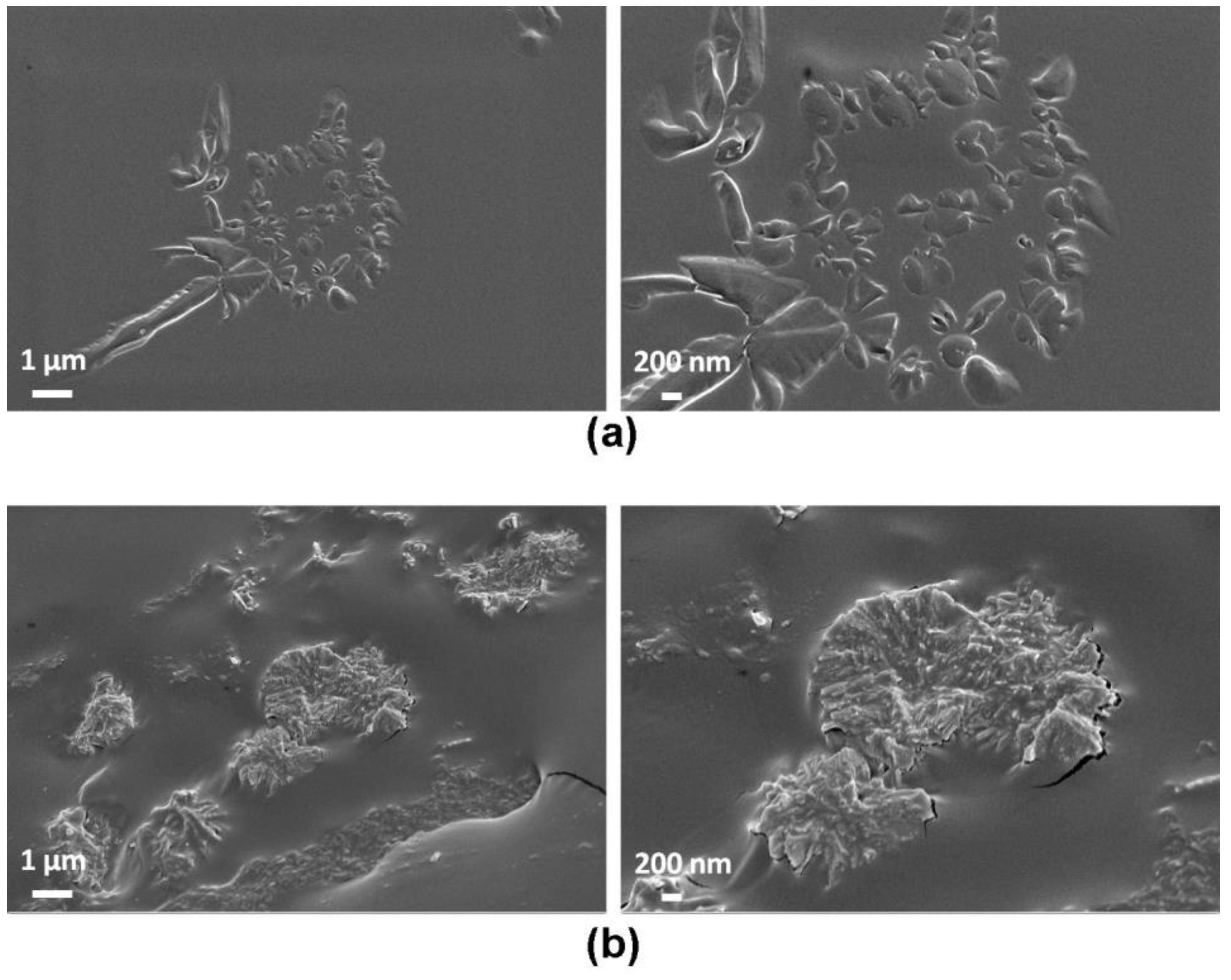 Materials 13 03821 g002 Materials 13 03821 g002
