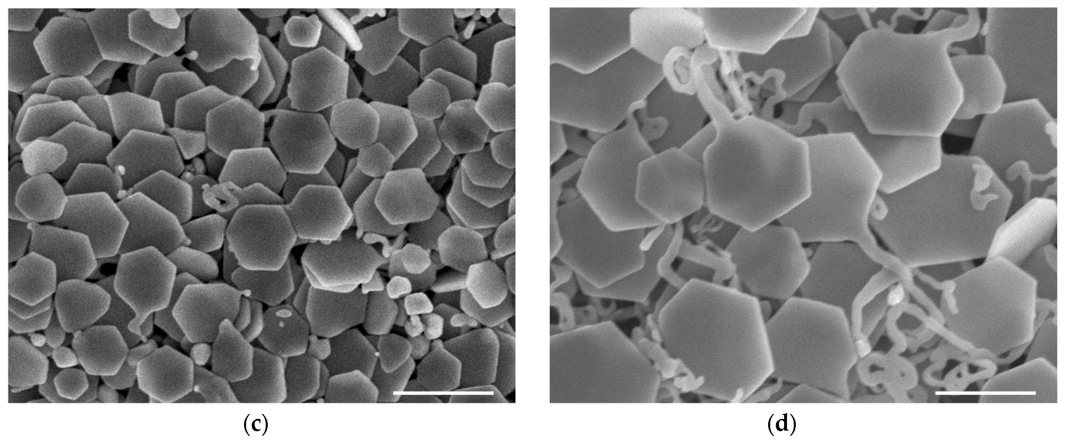 Materials 13 03827 g004b