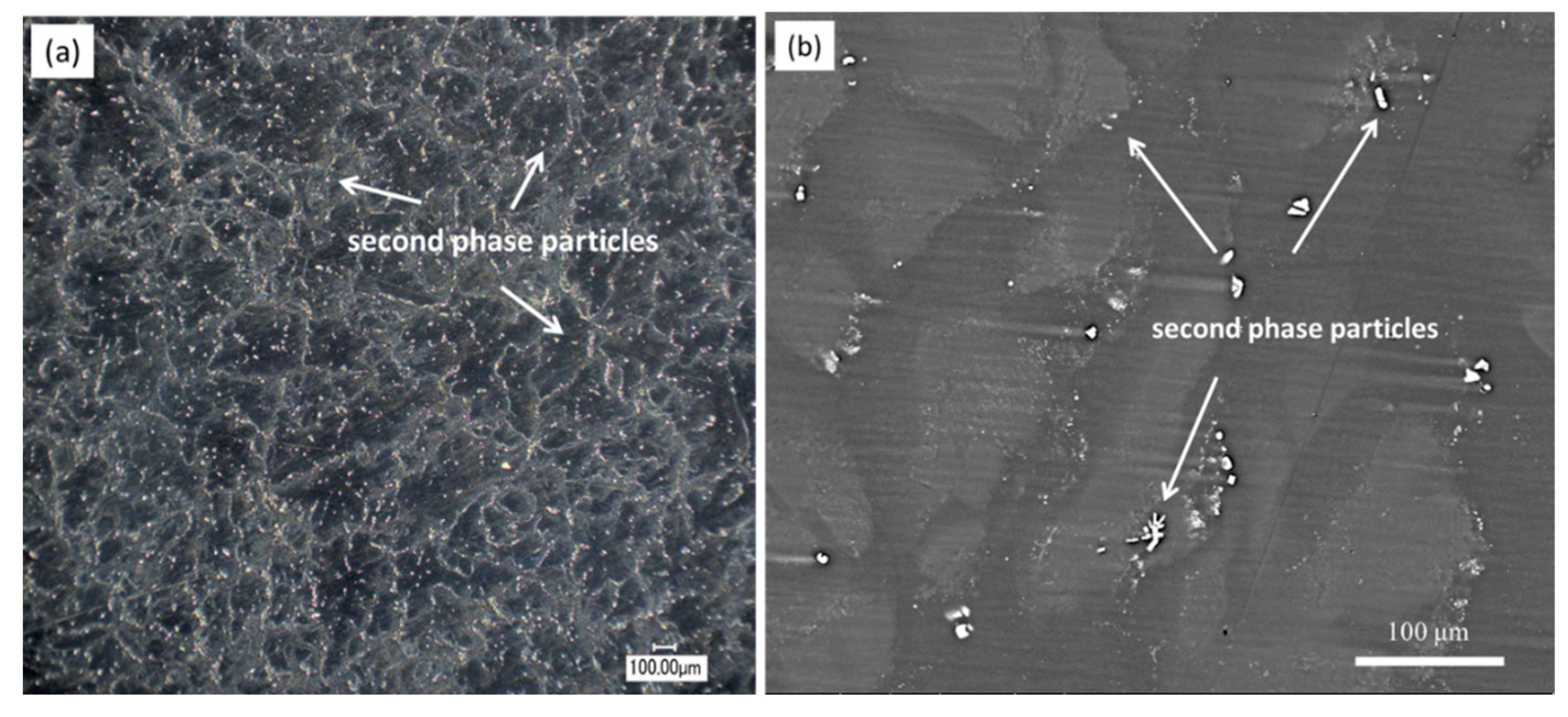 Materials 13 03833 g002