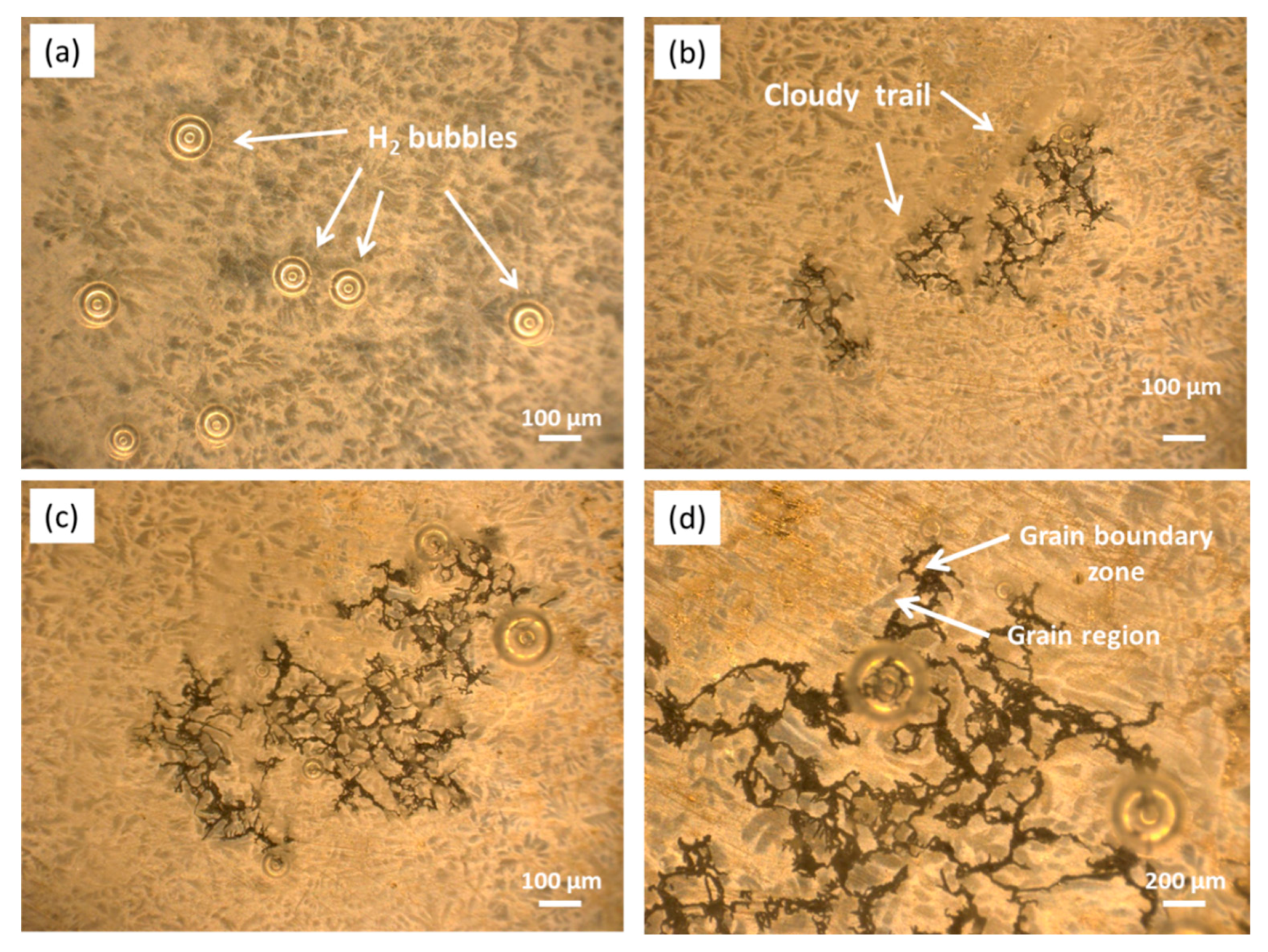 Materials 13 03833 g012