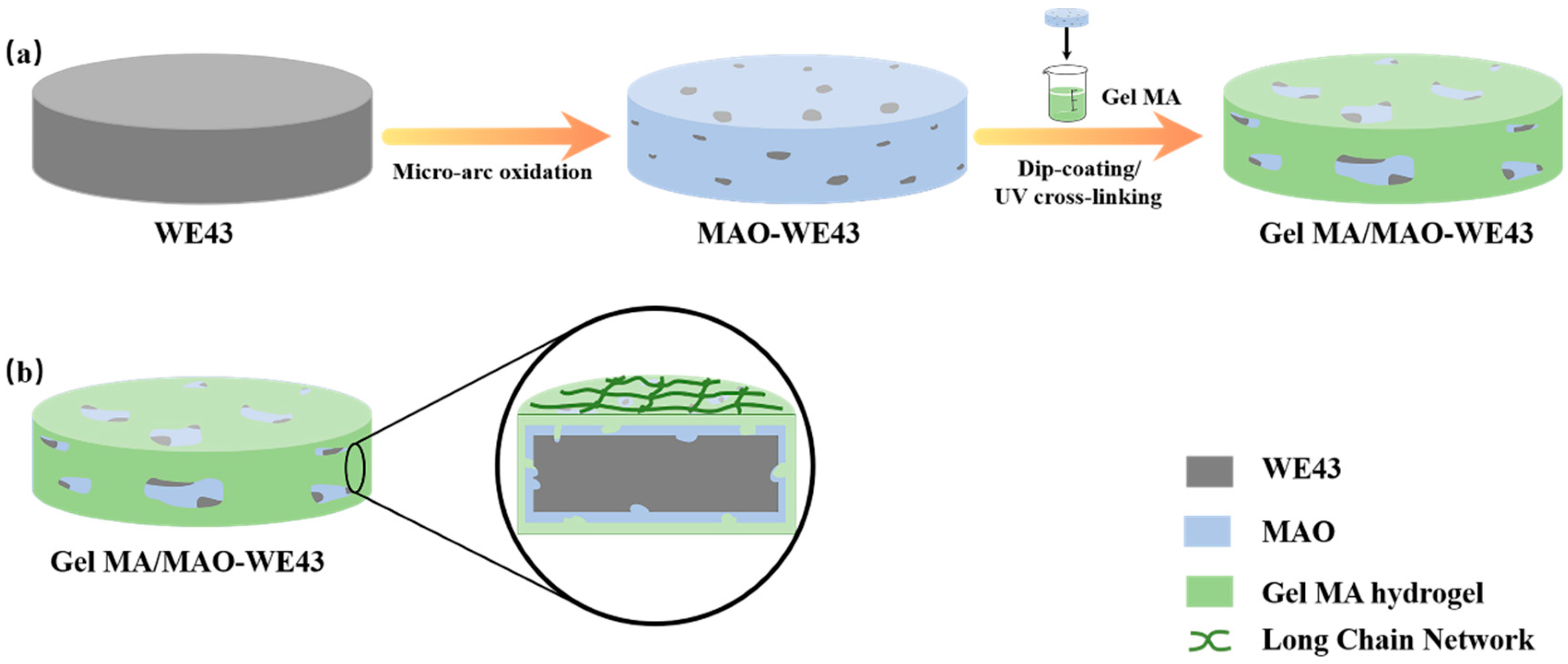 Materials 13 03834 g001