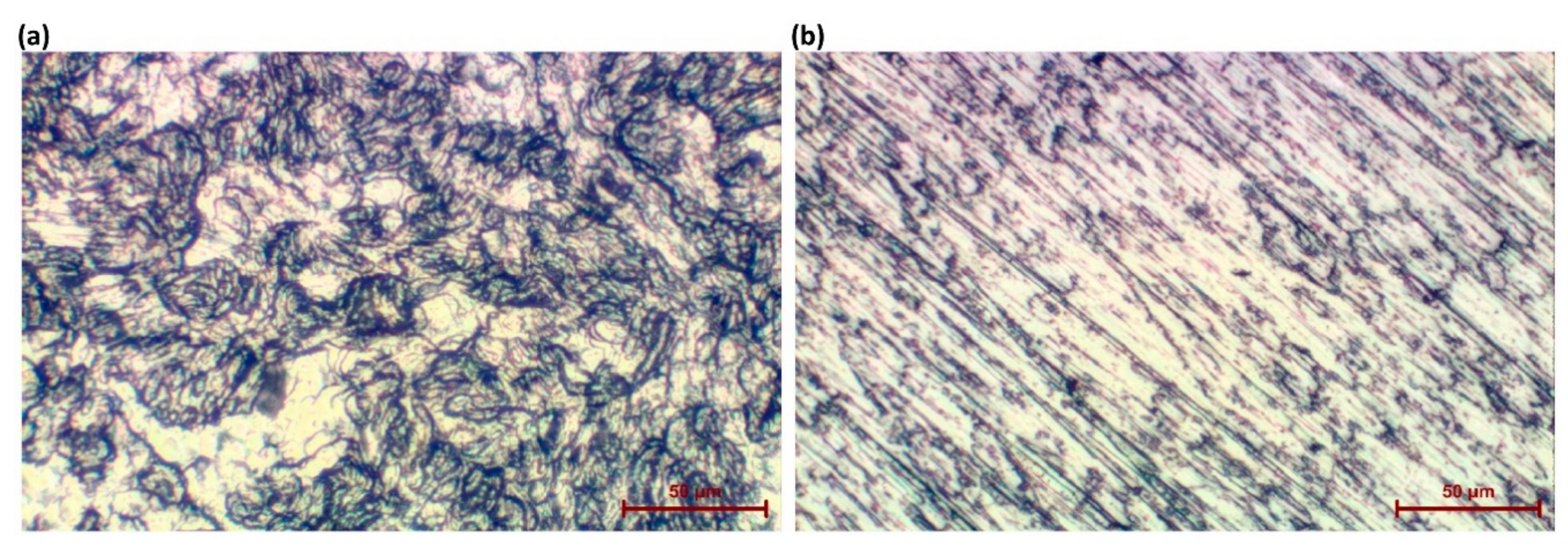 Materials 13 03838 g001