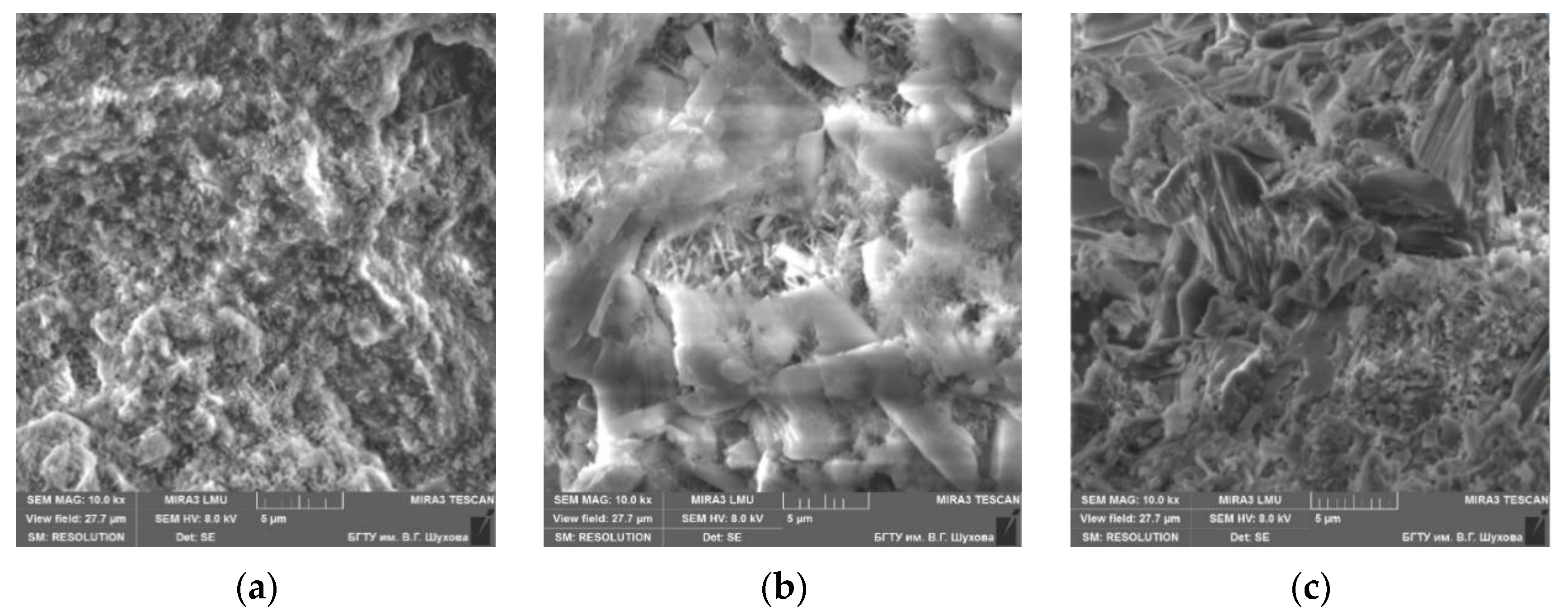 Materials 13 03847 g006