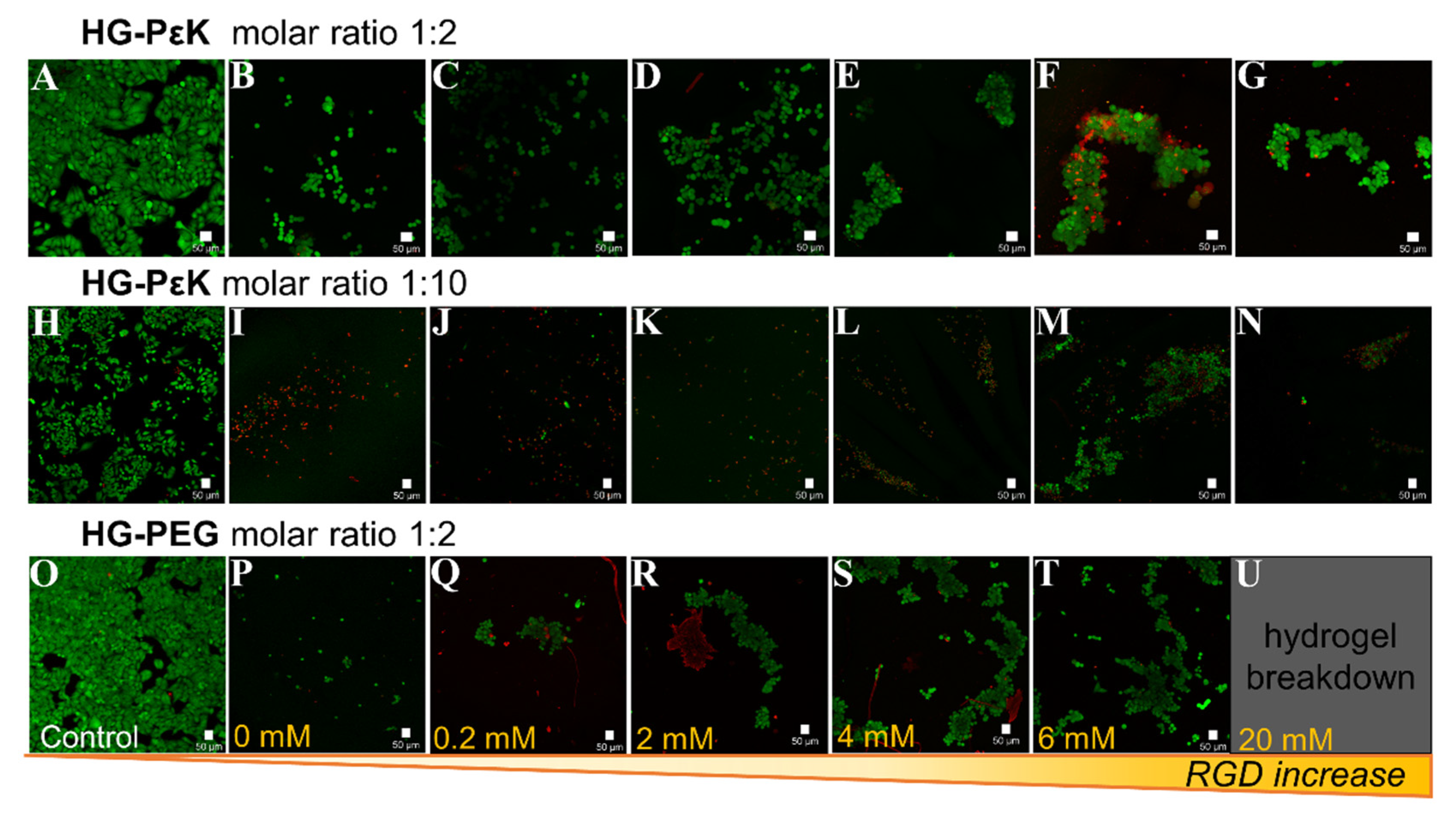 Materials 13 03851 g004