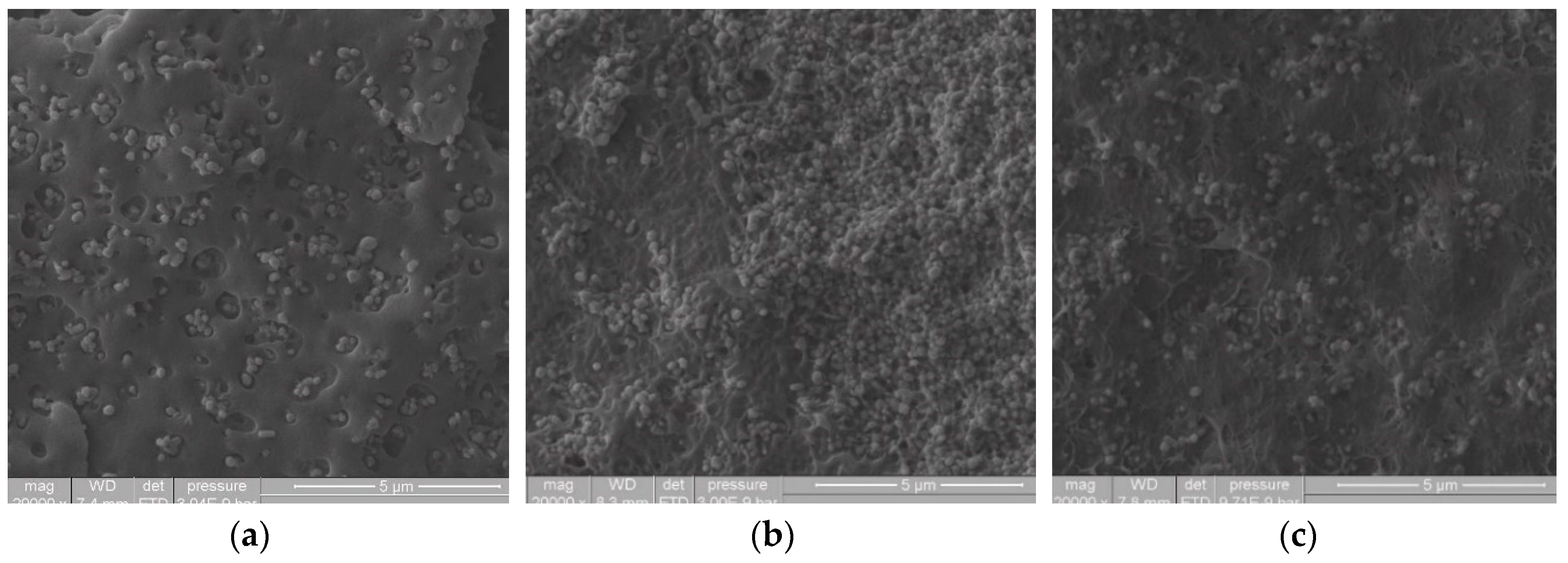 Materials 13 03855 g002