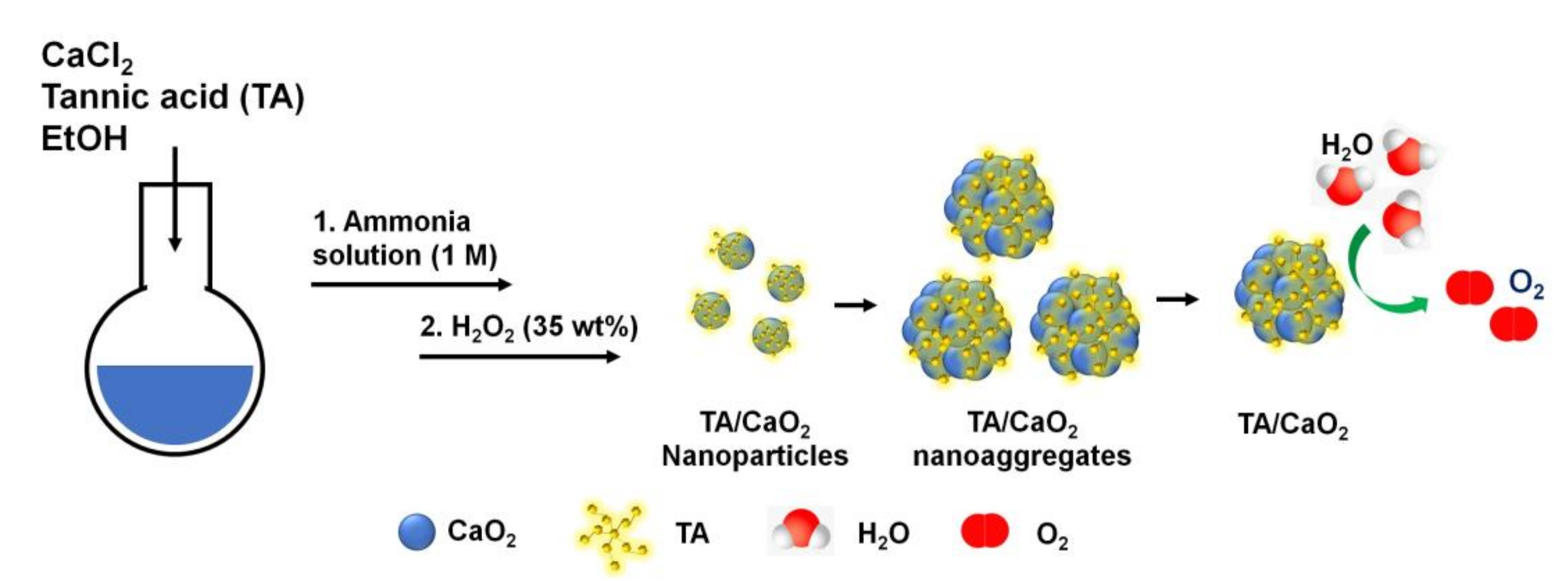 Materials 13 03864 g001