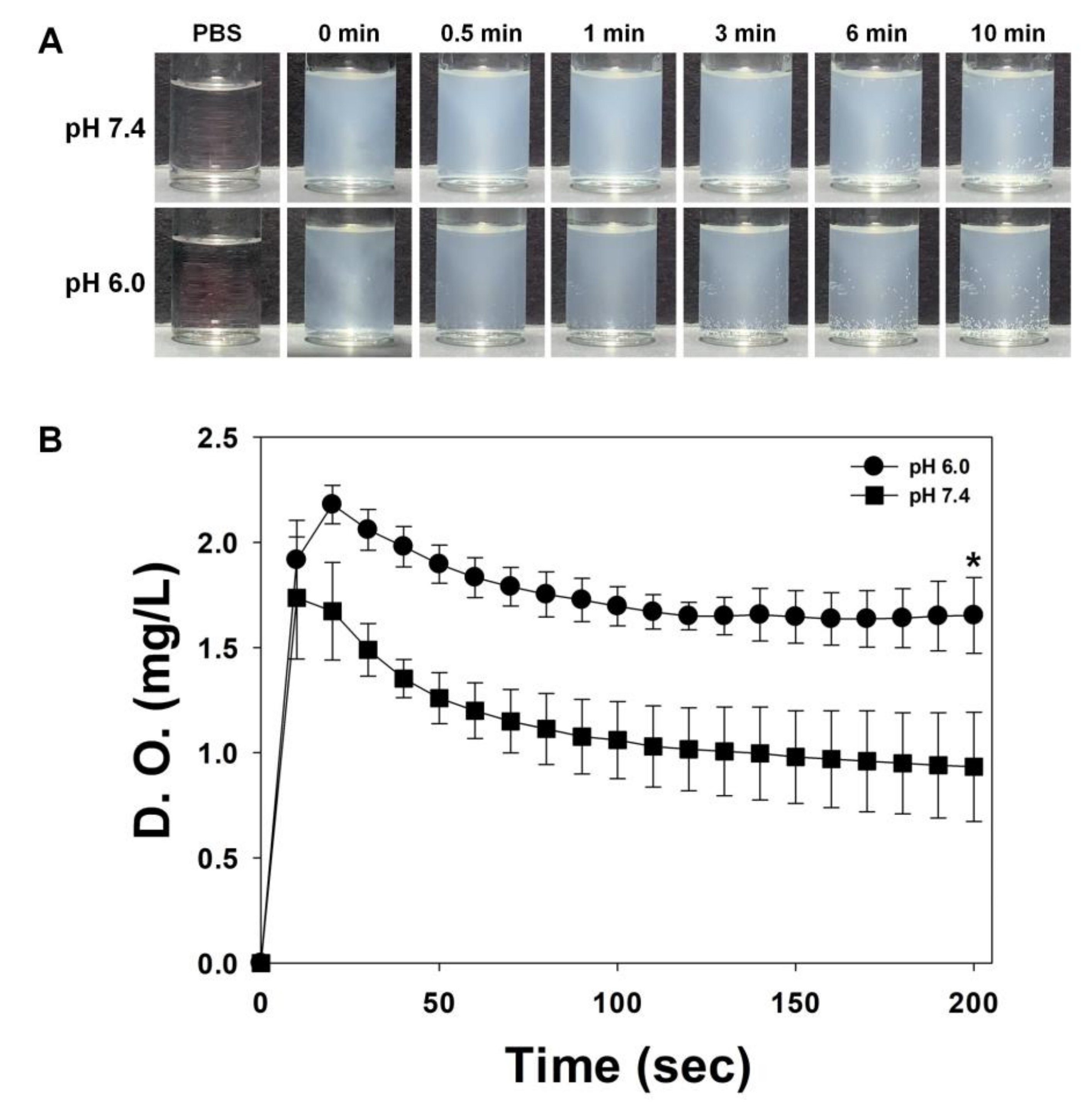 Materials 13 03864 g005