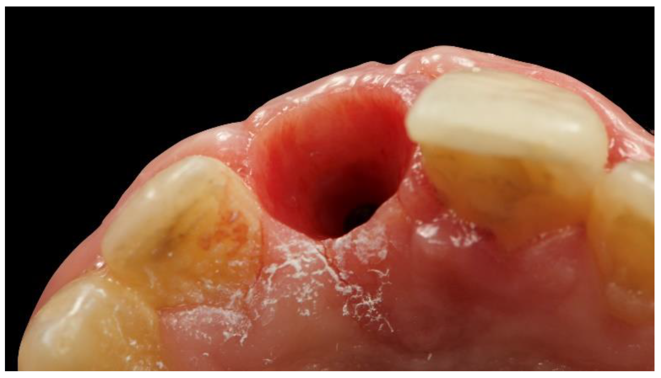 Materials 13 03874 g014 Materials 13 03874 g014