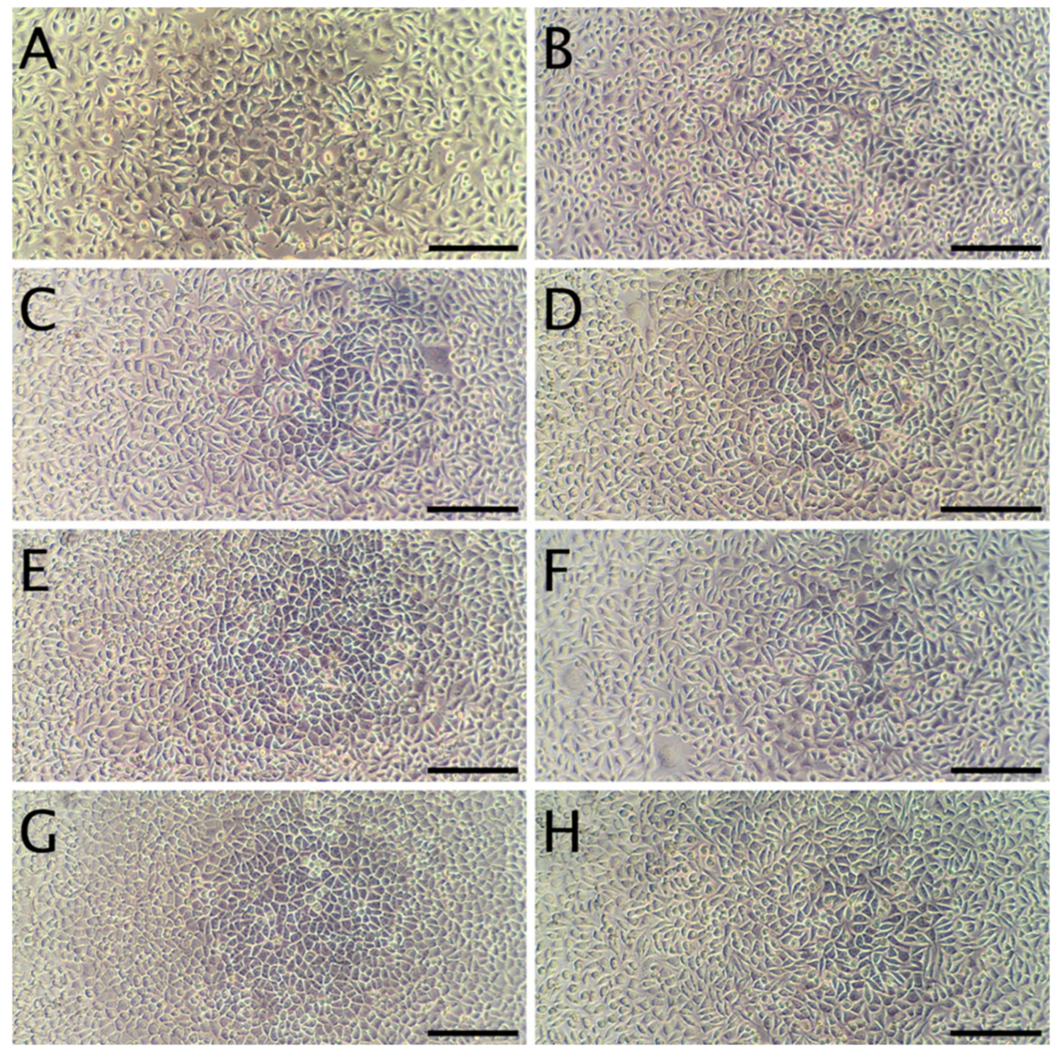 Materials 13 03876 g004