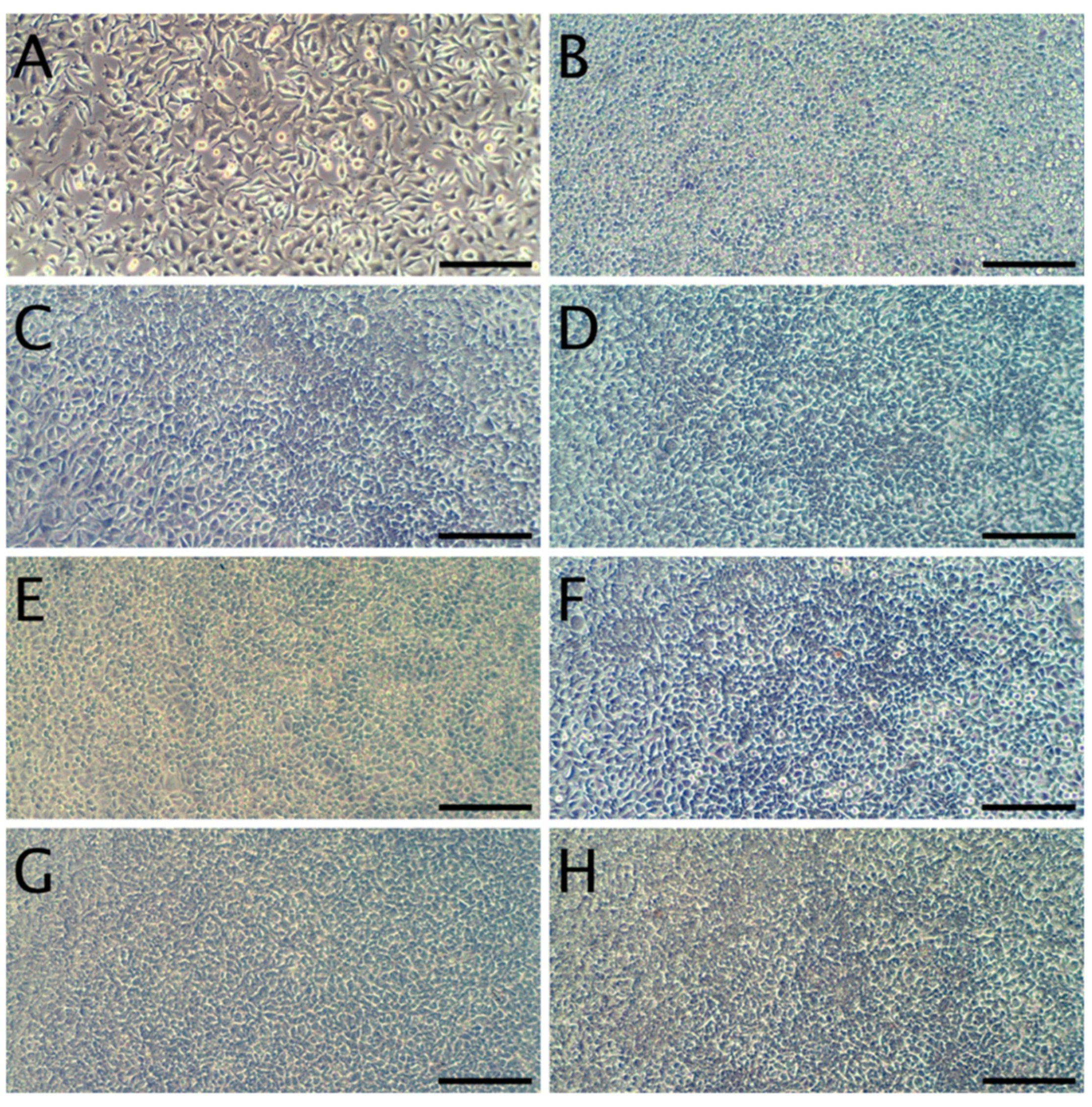 Materials 13 03876 g006