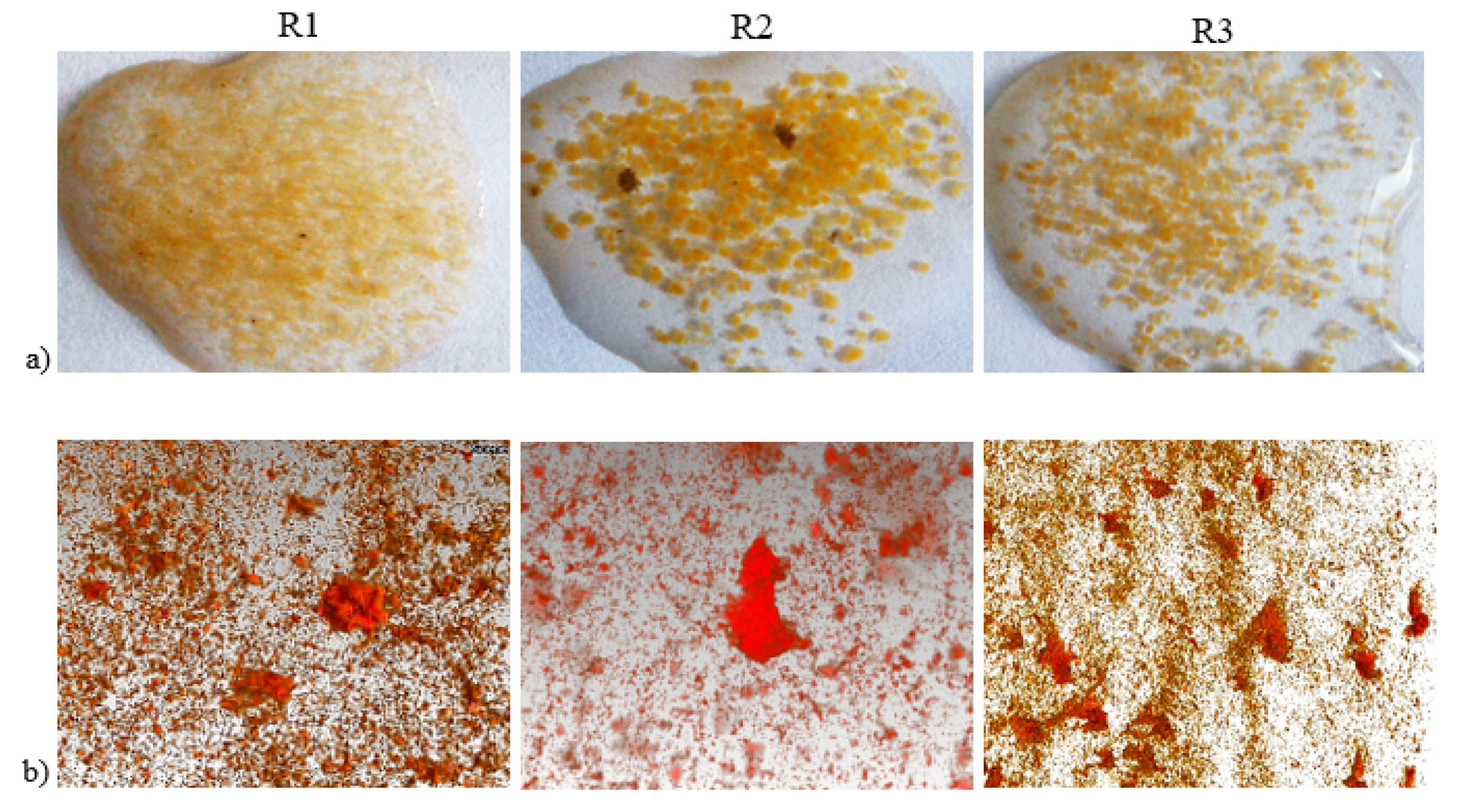 Materials 13 03894 g004