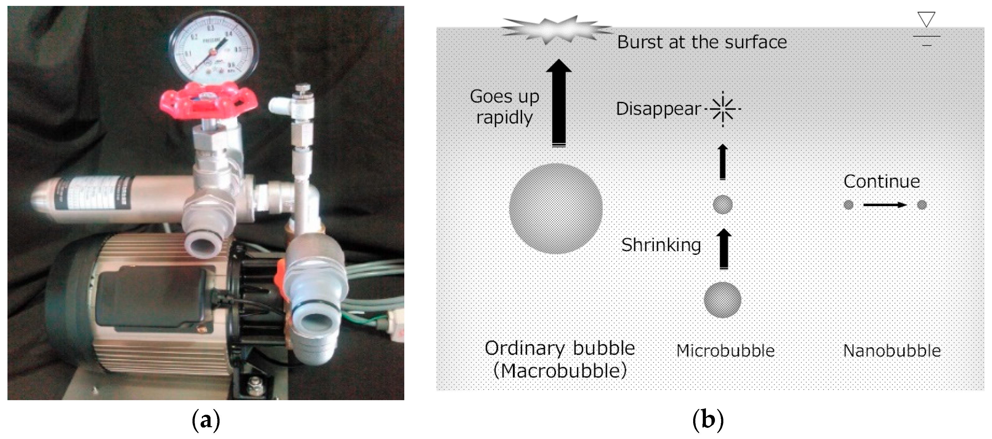 Materials 13 03897 g001
