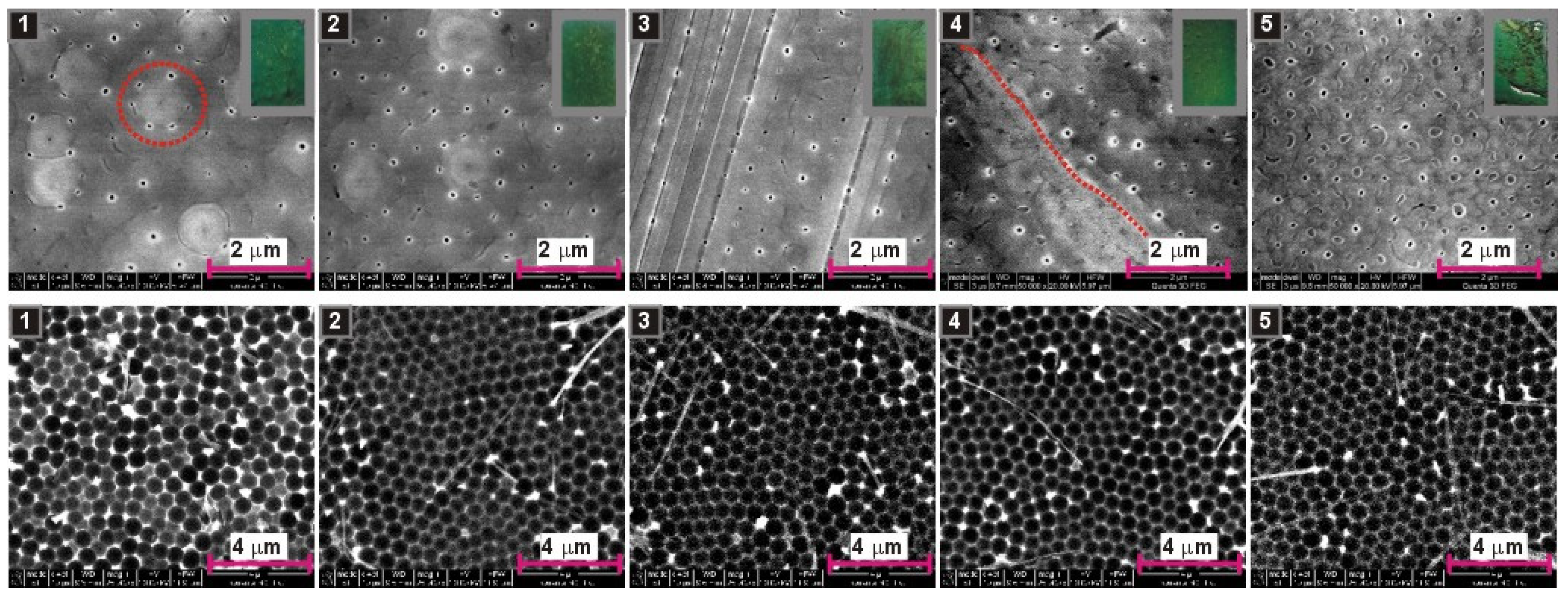 Materials 13 03899 g007