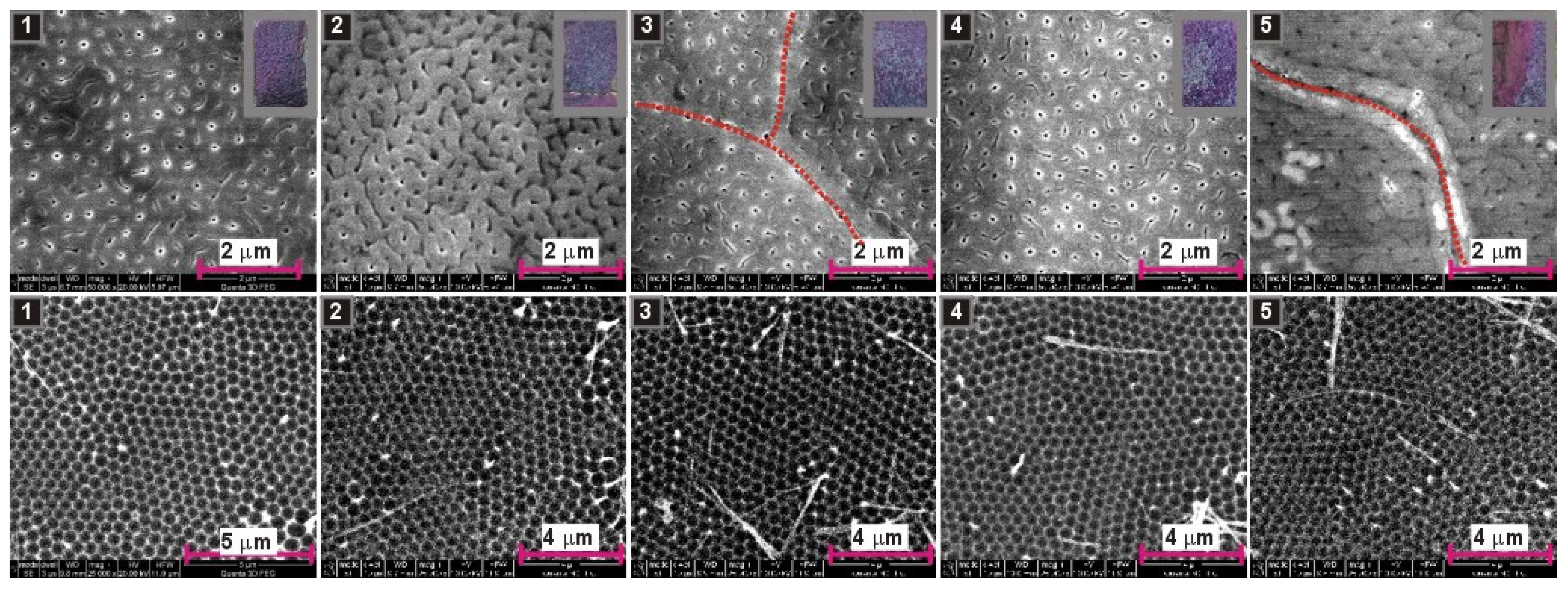 Materials 13 03899 g008