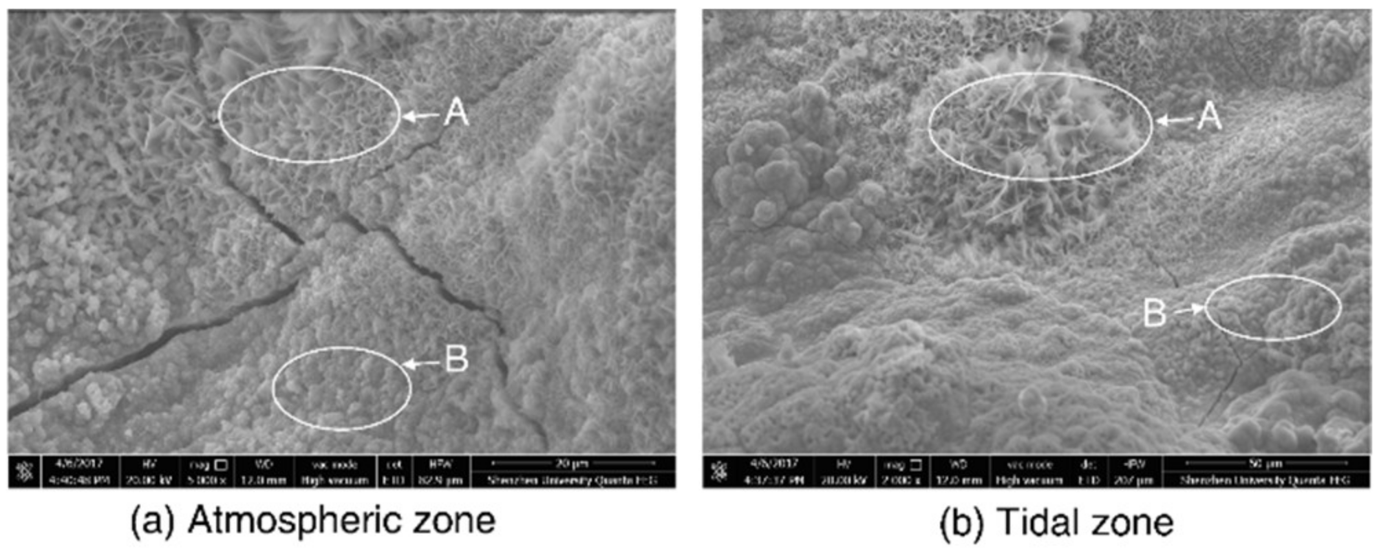 Materials 13 03900 g011 Materials 13 03900 g011