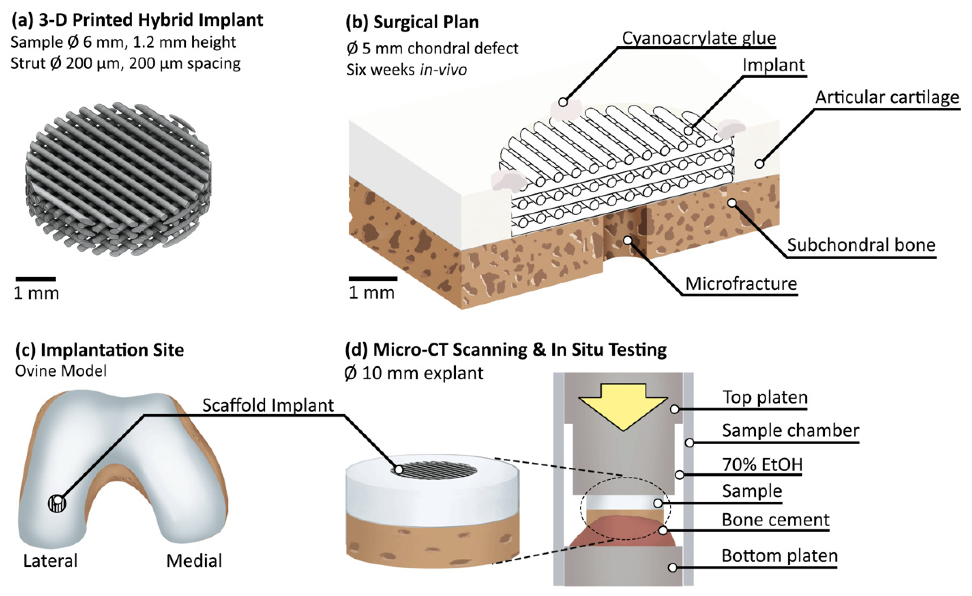 Materials 13 03911 g001