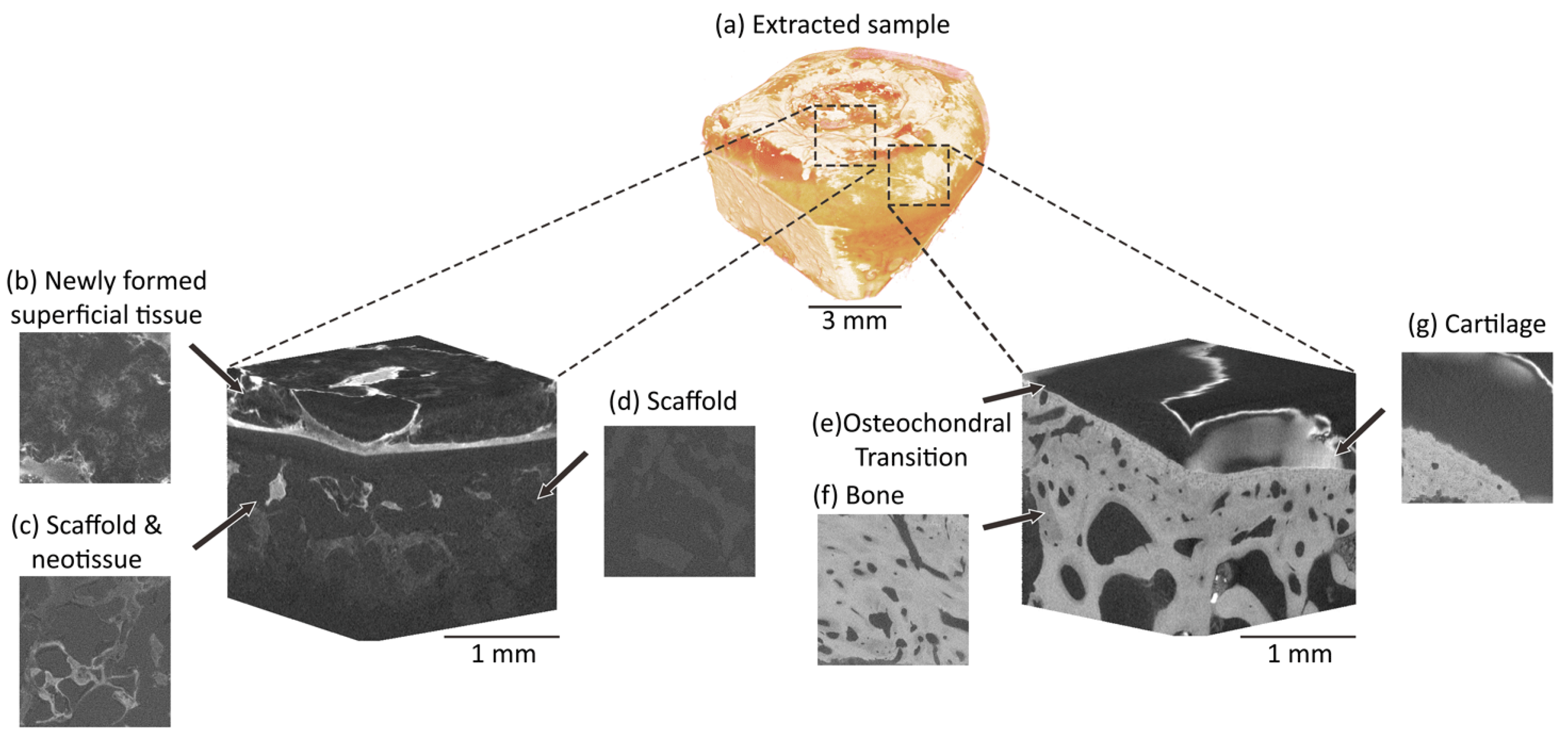 Materials 13 03911 g002