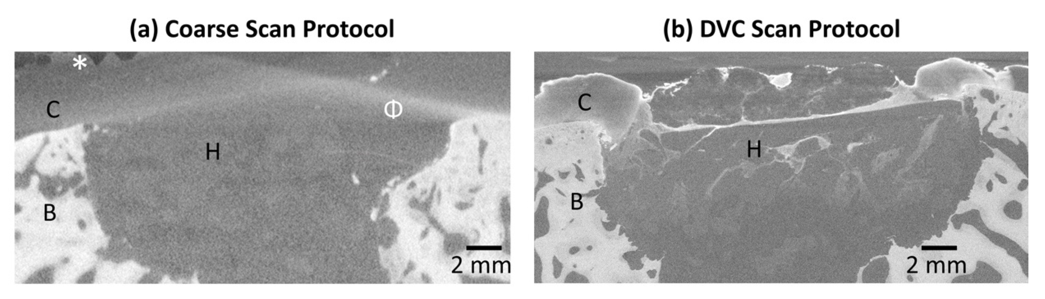 Materials 13 03911 g007