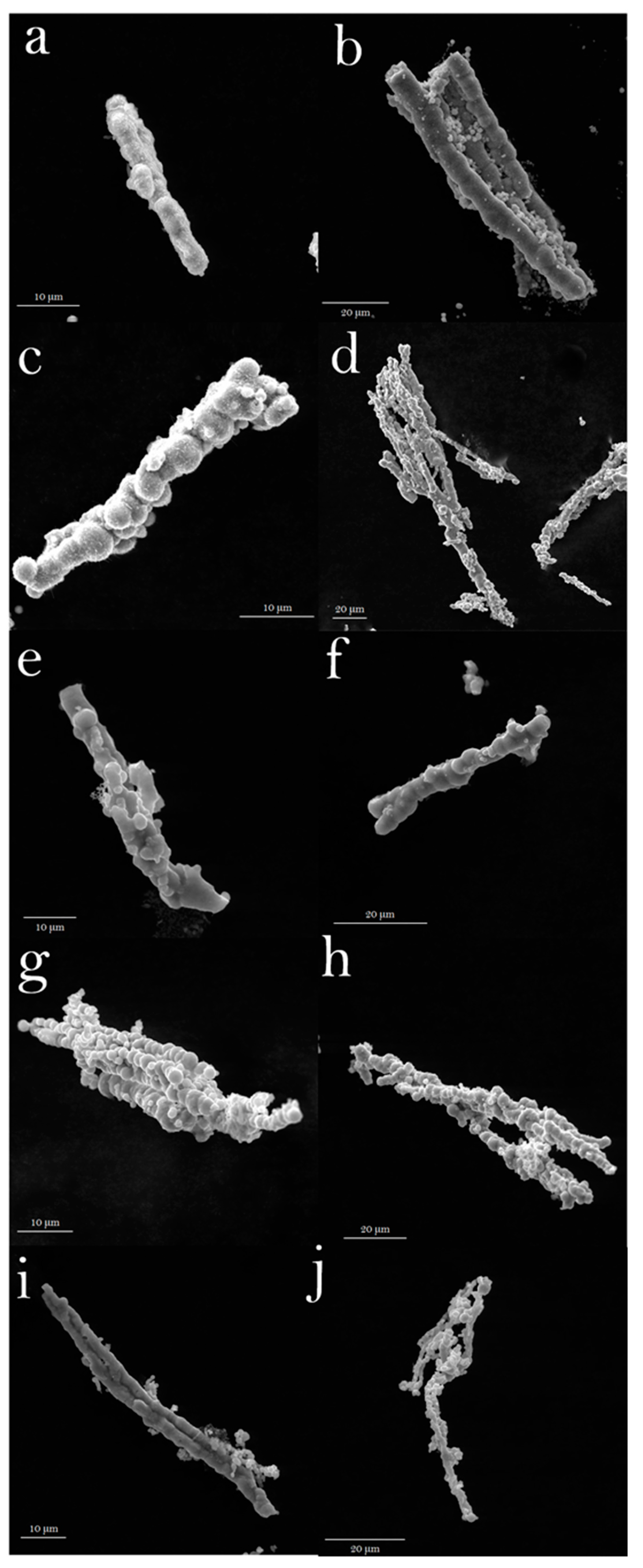 Materials 13 03918 g001