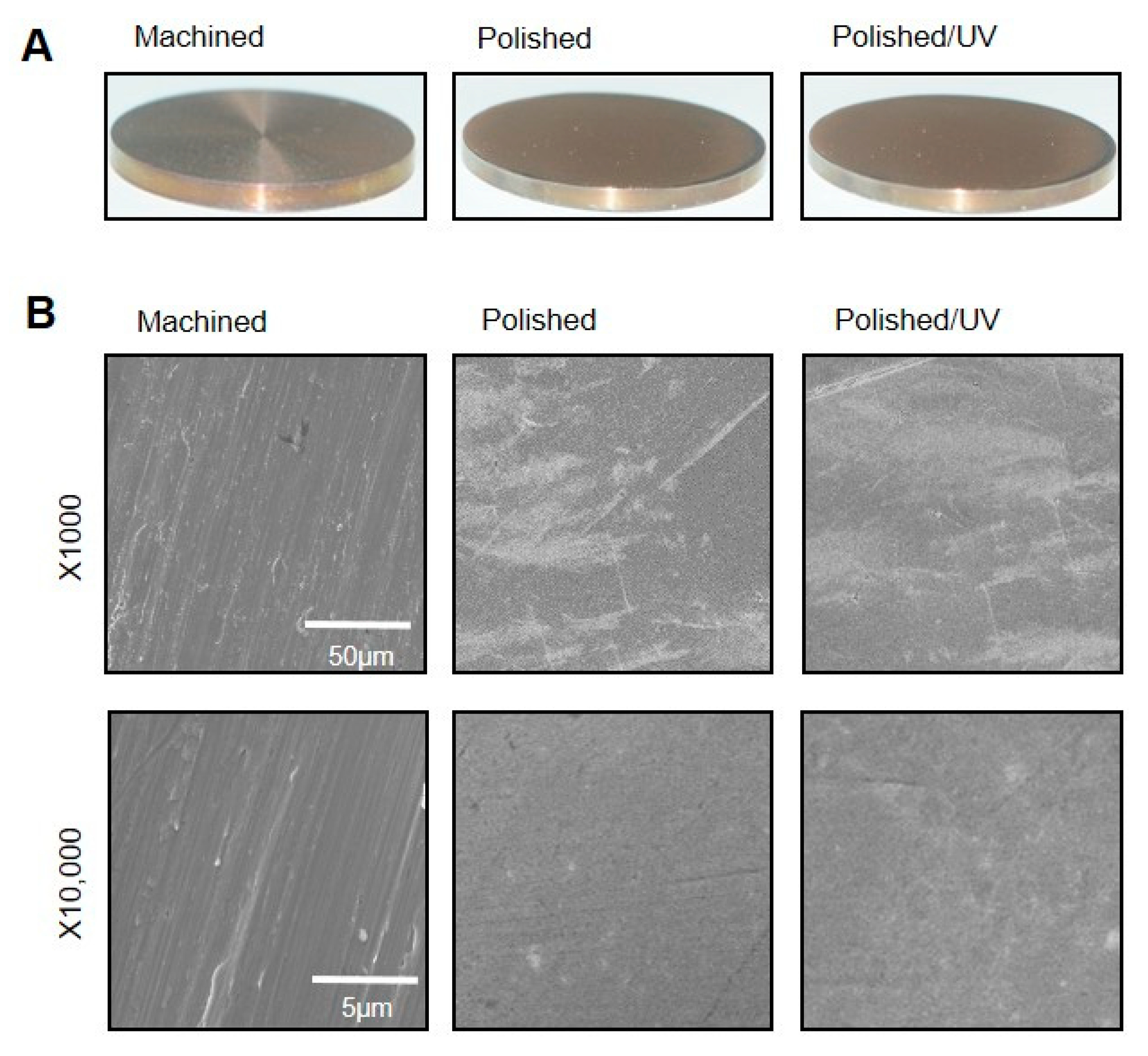 Materials 13 03946 g001