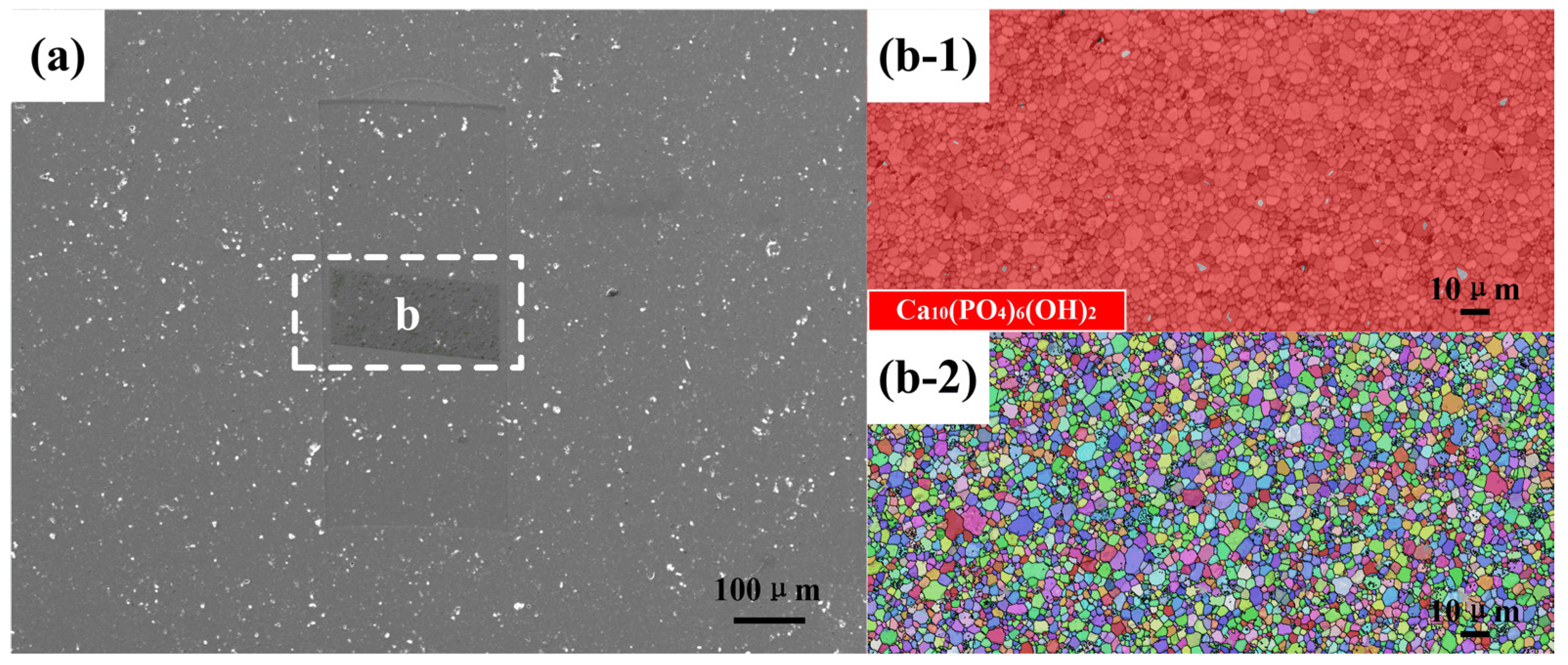 Materials 13 03948 g004 Materials 13 03948 g004