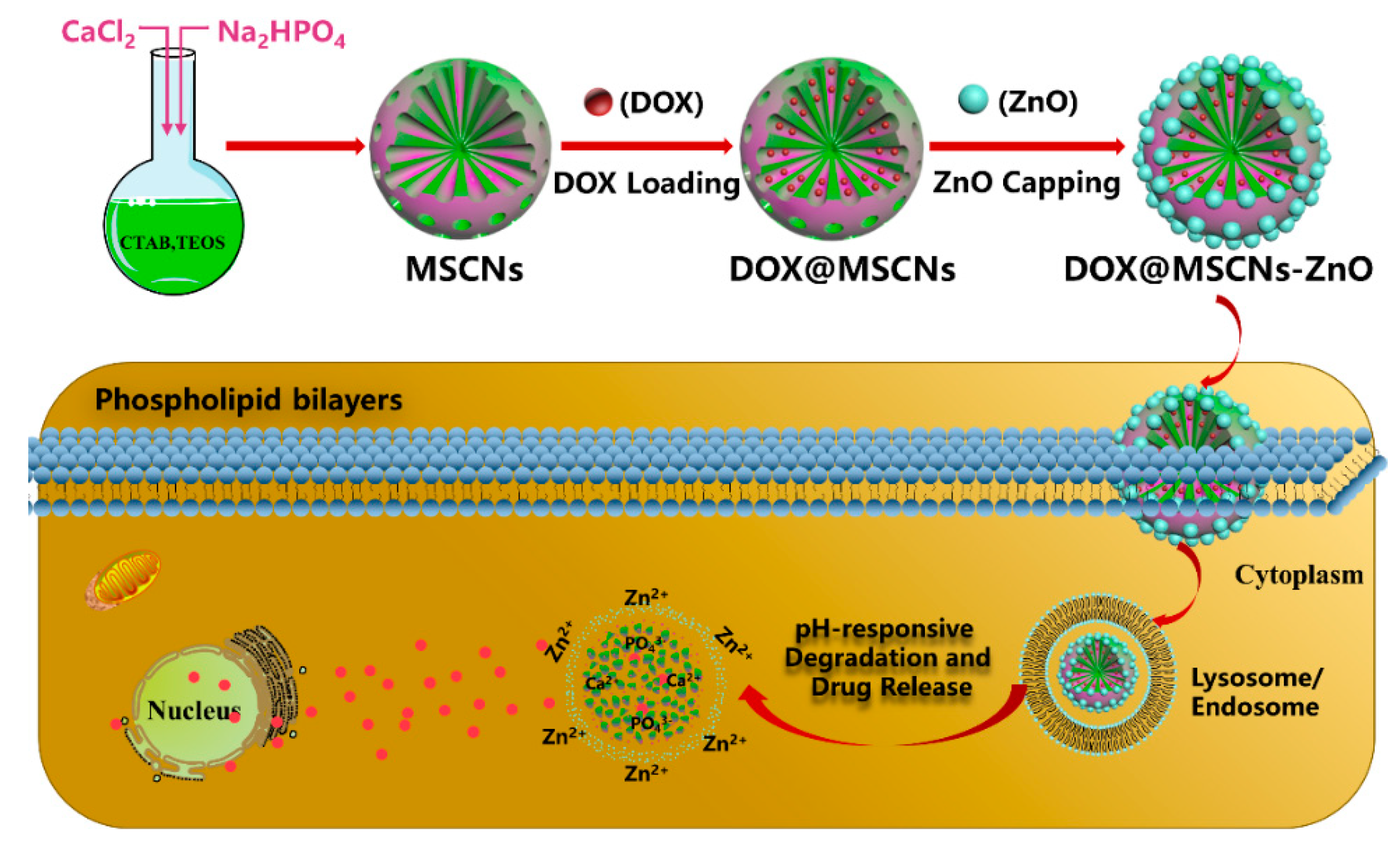 Materials 13 03950 sch001