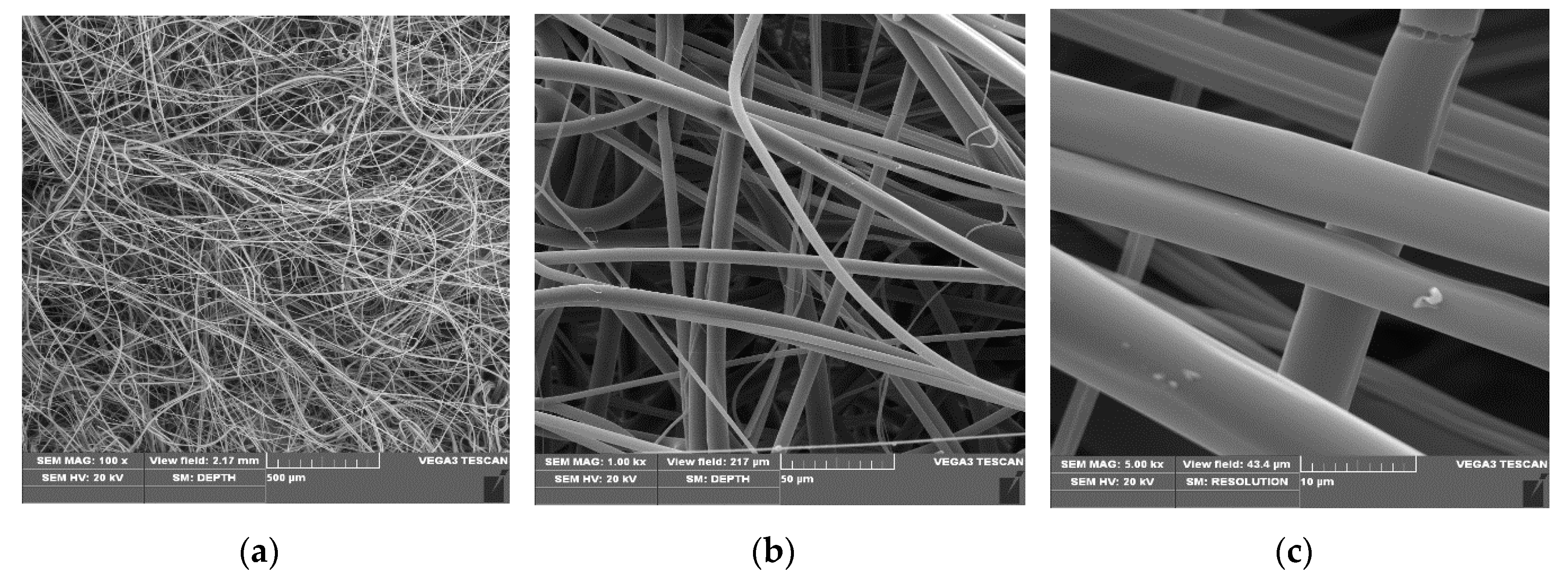 Materials 13 03971 g001 Materials 13 03971 g001