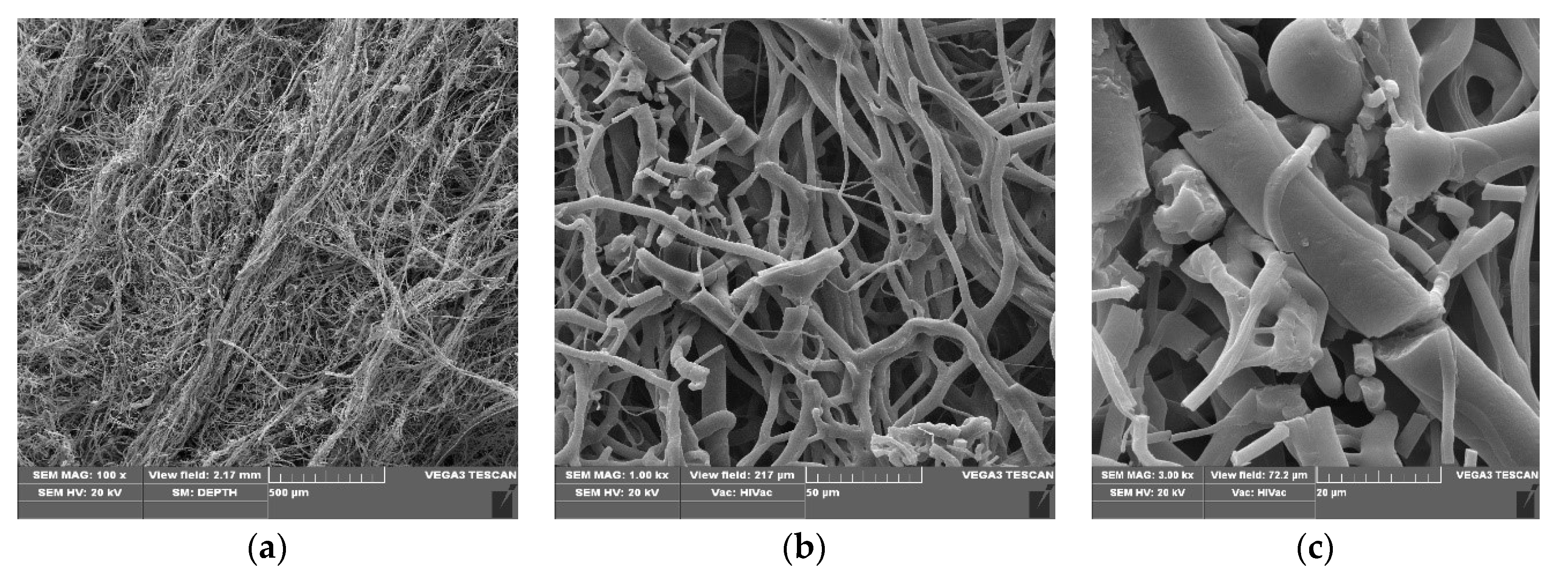 Materials 13 03971 g003 Materials 13 03971 g003