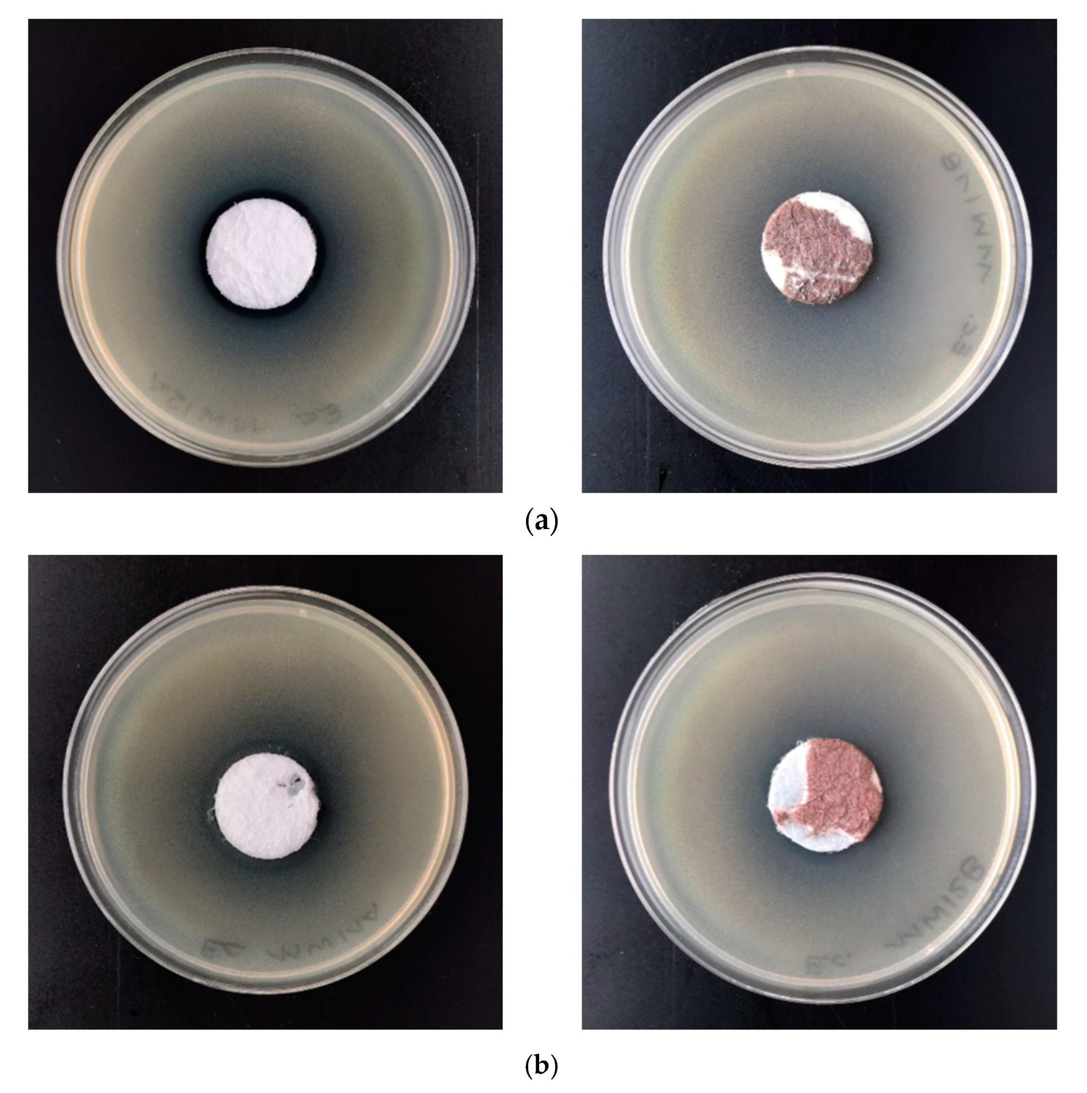Materials 13 03971 g006 Materials 13 03971 g006