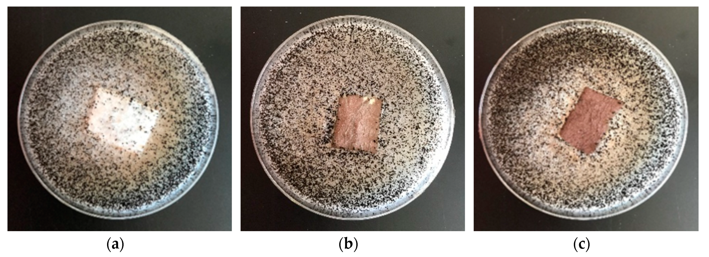Materials 13 03971 g007 Materials 13 03971 g007