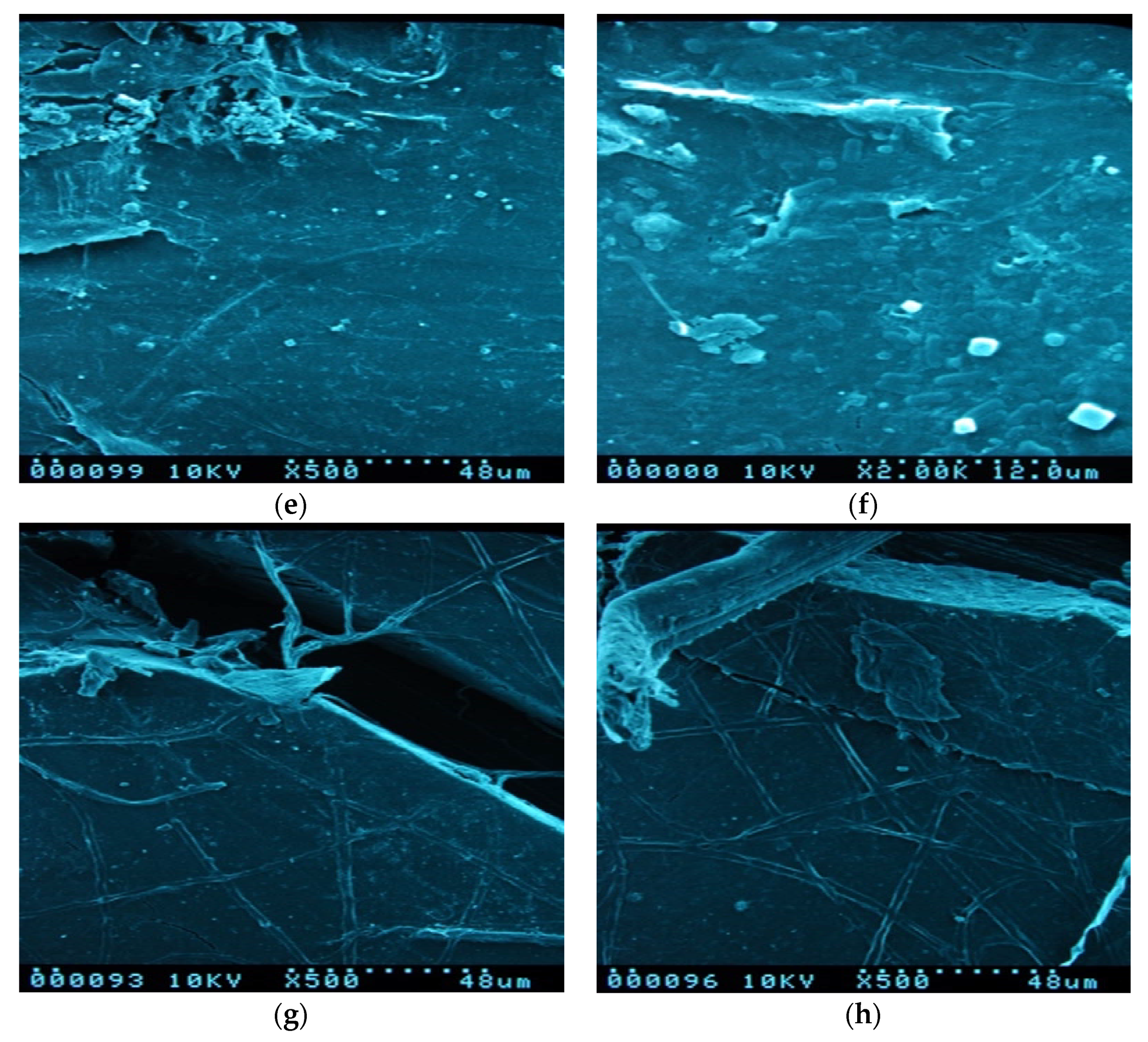 Materials 13 03974 g002b