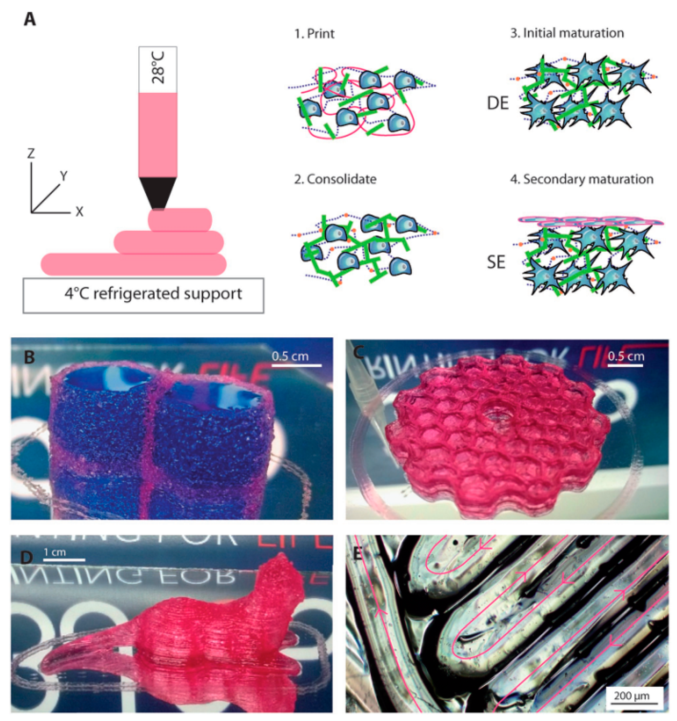 Materials 13 03980 g008