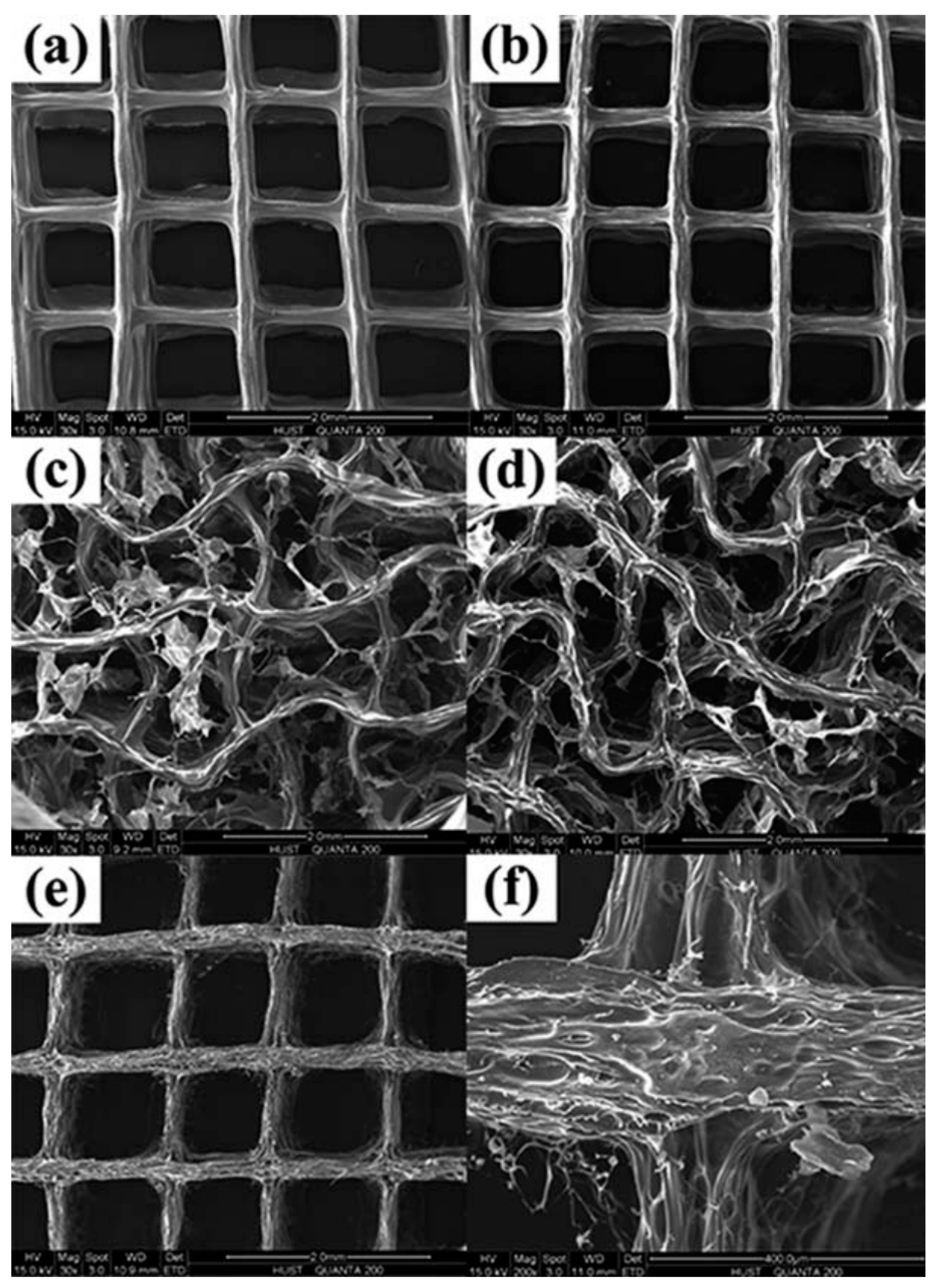 Materials 13 03980 g009